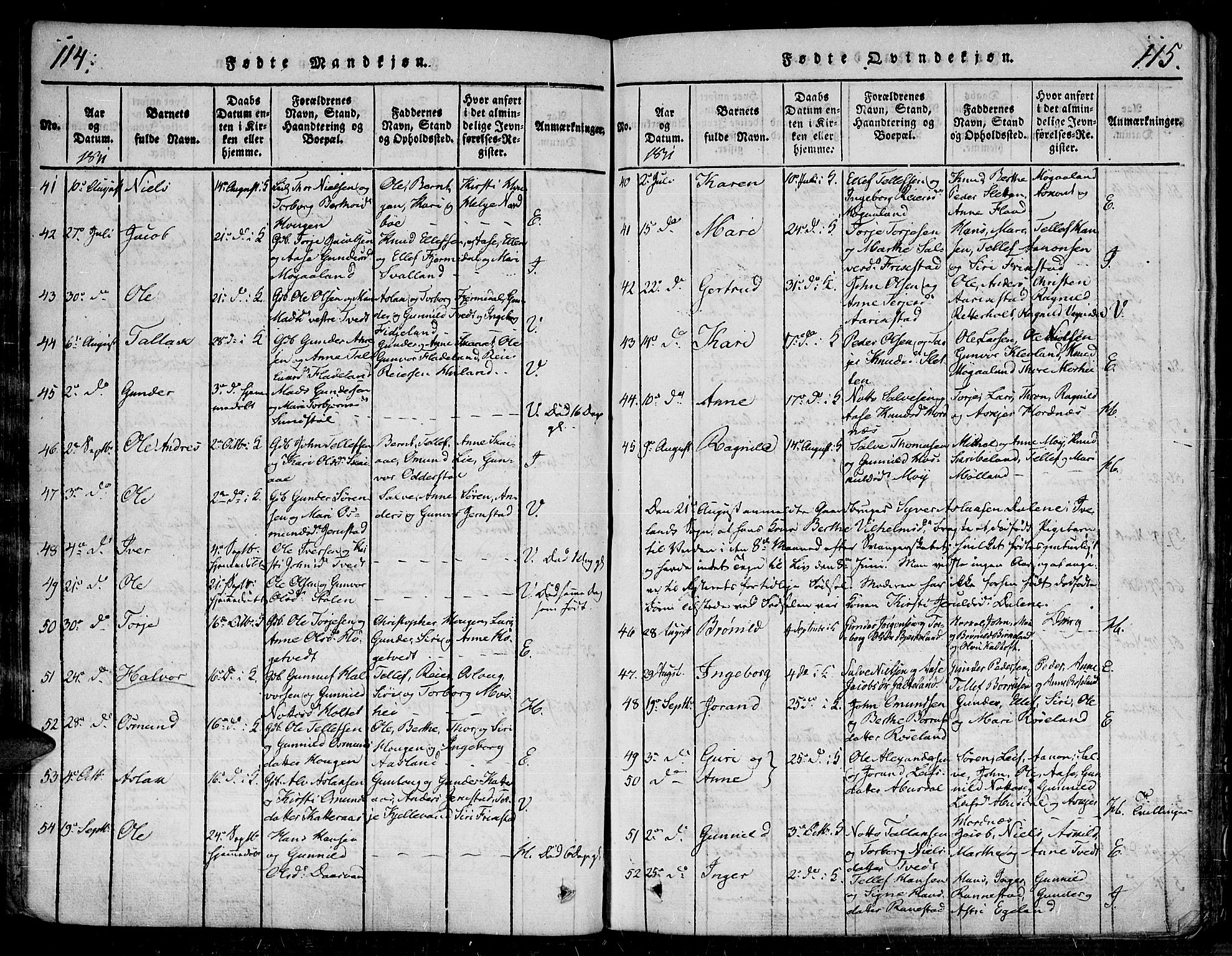 Evje sokneprestkontor, AV/SAK-1111-0008/F/Fa/Faa/L0004: Parish register (official) no. A 4, 1816-1840, p. 114-115