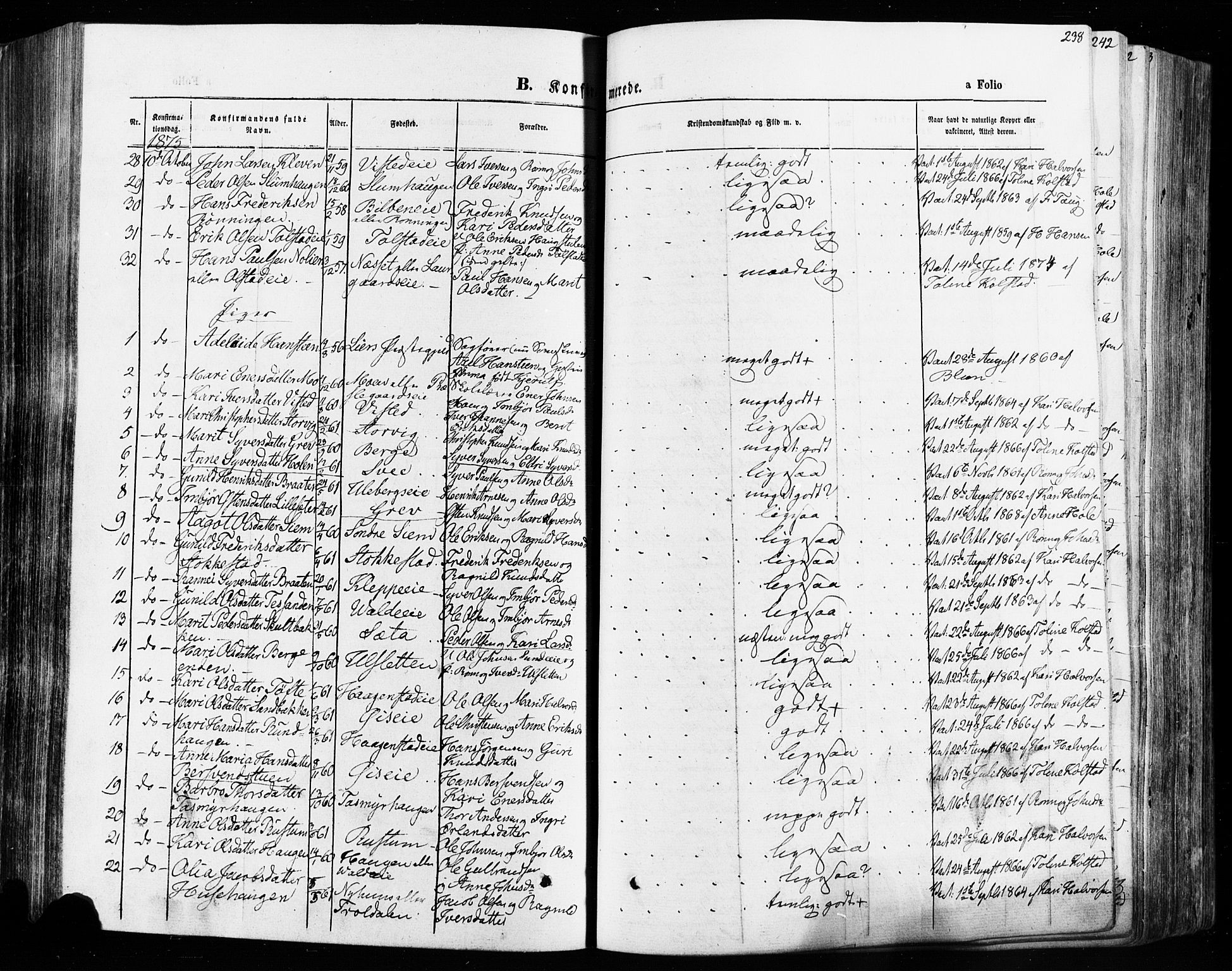 Vågå prestekontor, SAH/PREST-076/H/Ha/Haa/L0007: Parish register (official) no. 7 /1, 1872-1886, p. 238