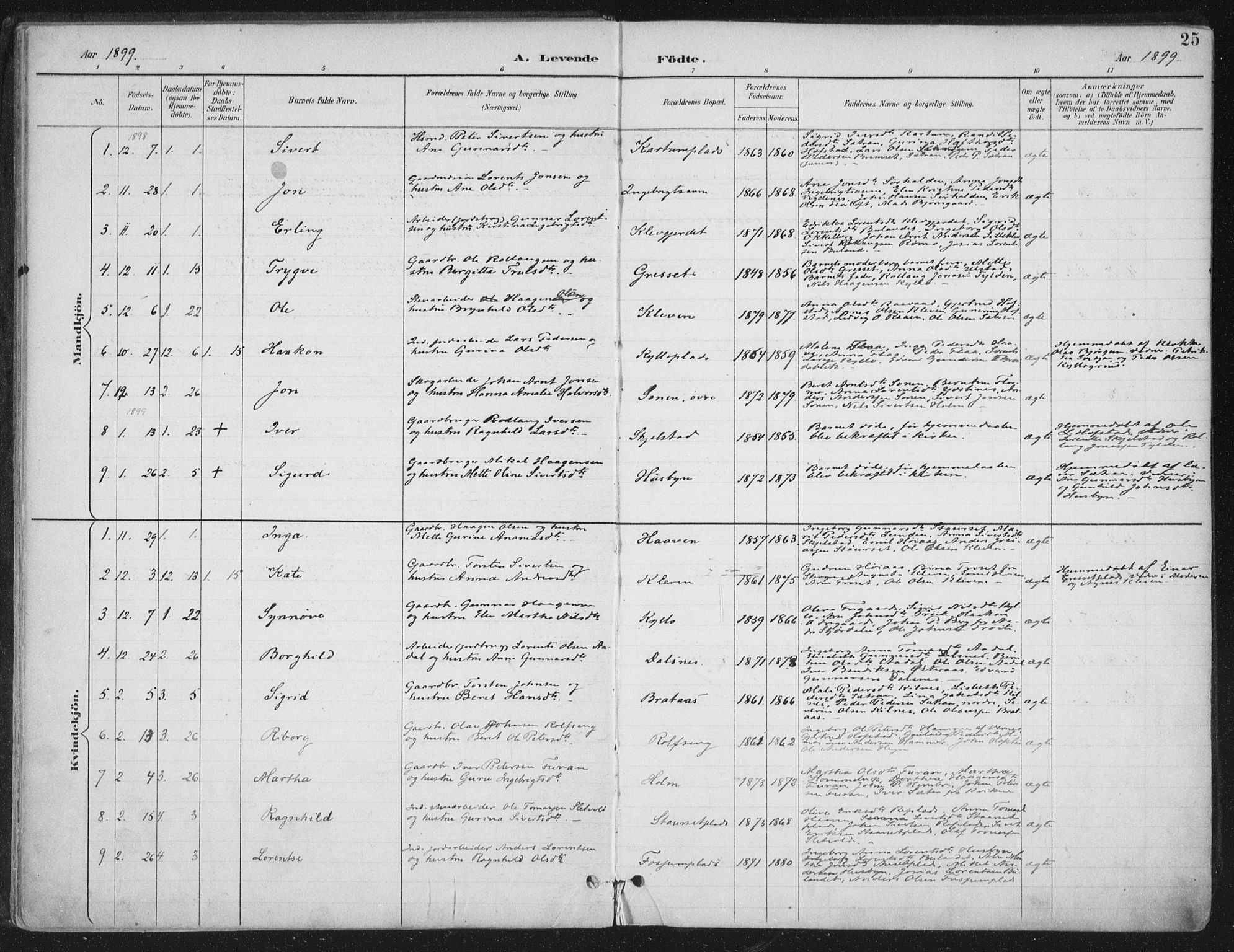 Ministerialprotokoller, klokkerbøker og fødselsregistre - Nord-Trøndelag, SAT/A-1458/703/L0031: Parish register (official) no. 703A04, 1893-1914, p. 25