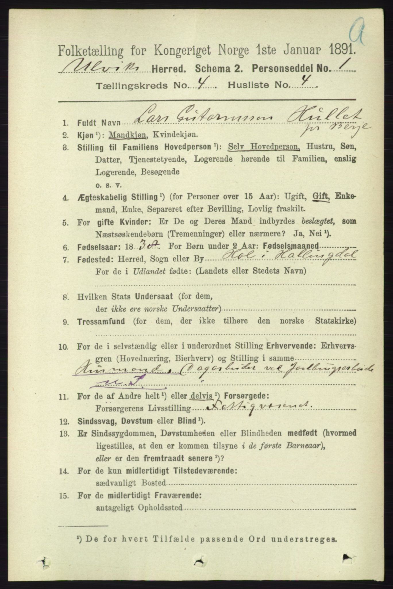 RA, 1891 census for 1233 Ulvik, 1891, p. 598