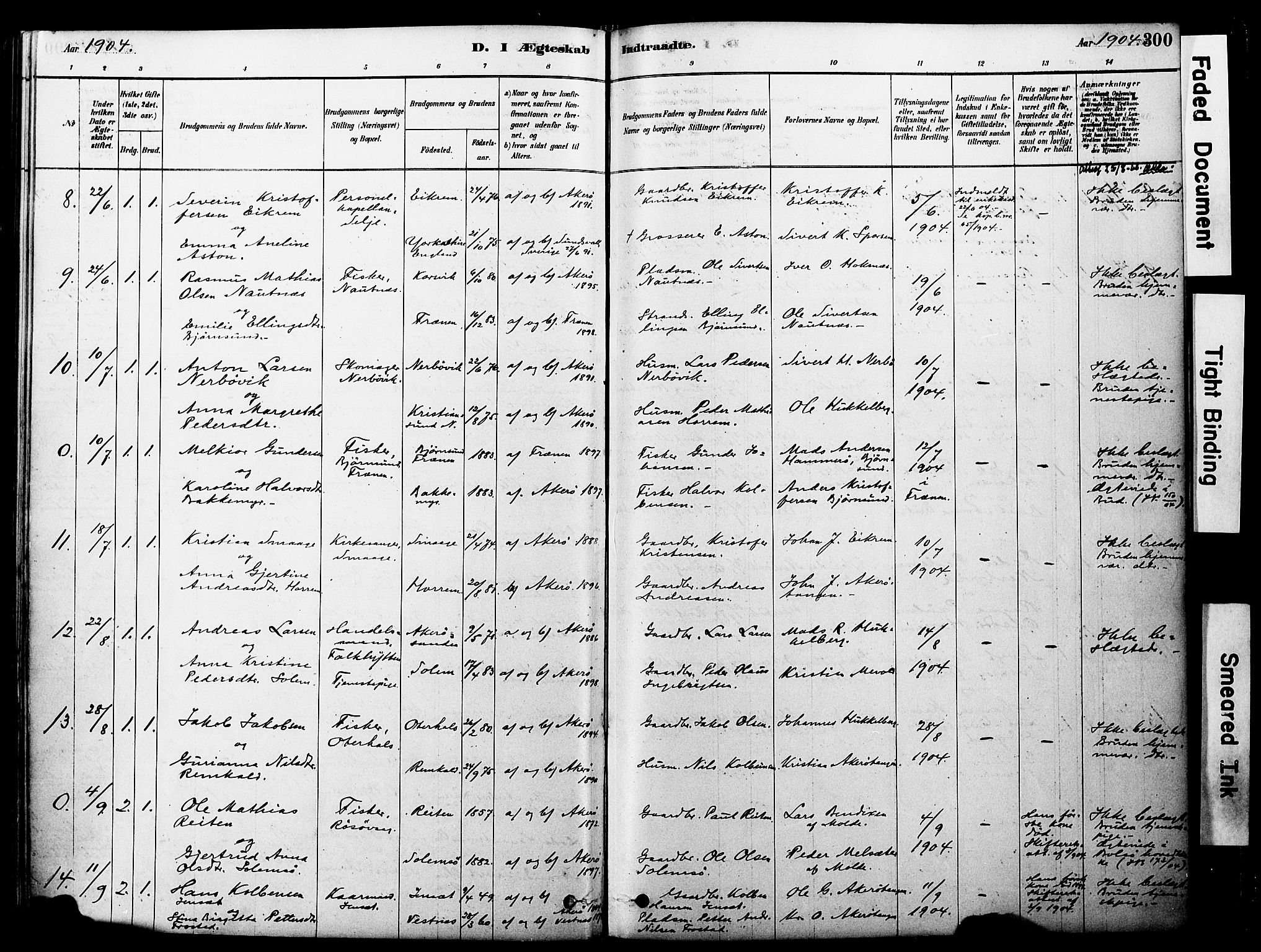 Ministerialprotokoller, klokkerbøker og fødselsregistre - Møre og Romsdal, SAT/A-1454/560/L0721: Parish register (official) no. 560A05, 1878-1917, p. 300