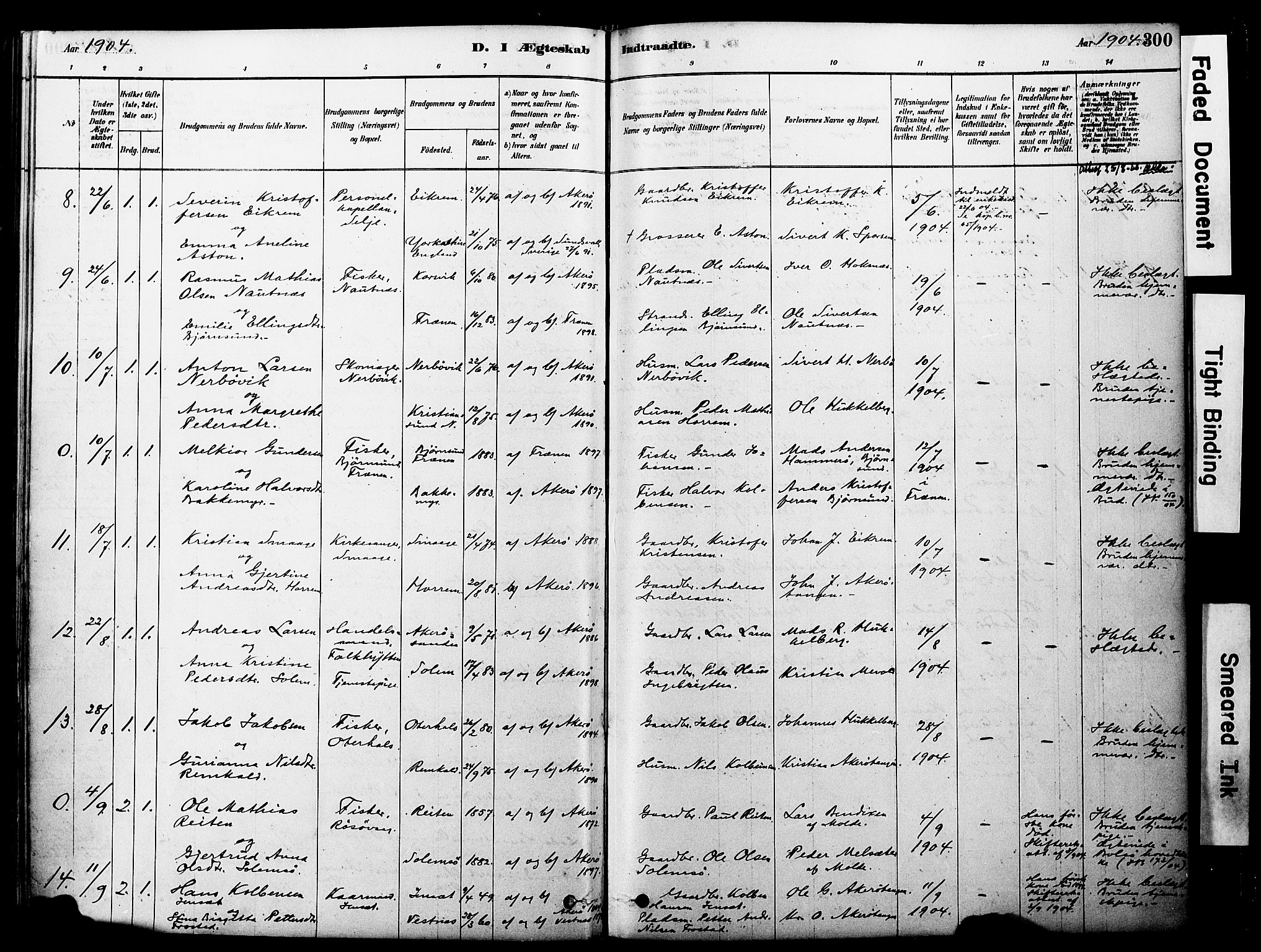 Ministerialprotokoller, klokkerbøker og fødselsregistre - Møre og Romsdal, AV/SAT-A-1454/560/L0721: Parish register (official) no. 560A05, 1878-1917, p. 300