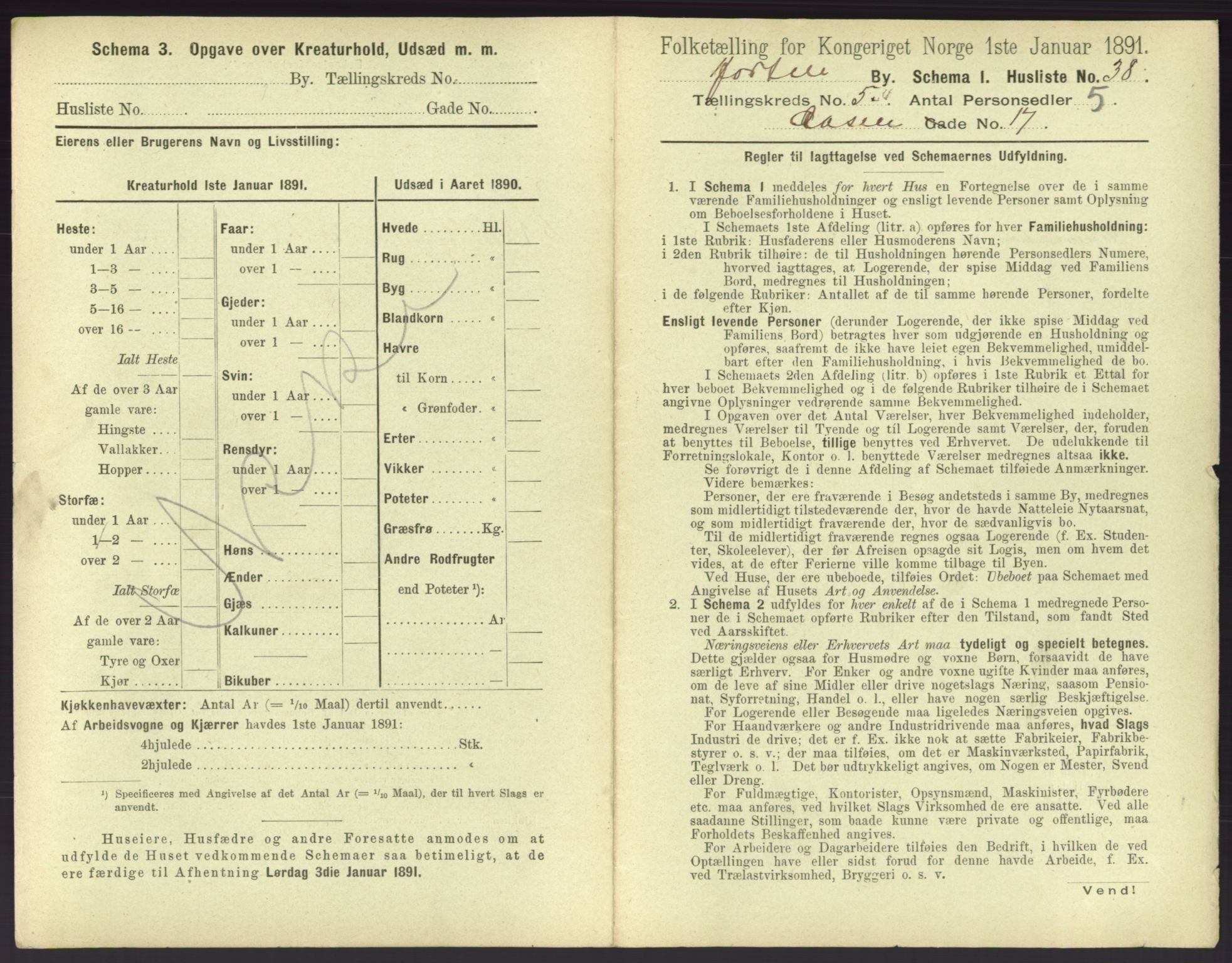 RA, 1891 census for 0703 Horten, 1891, p. 539