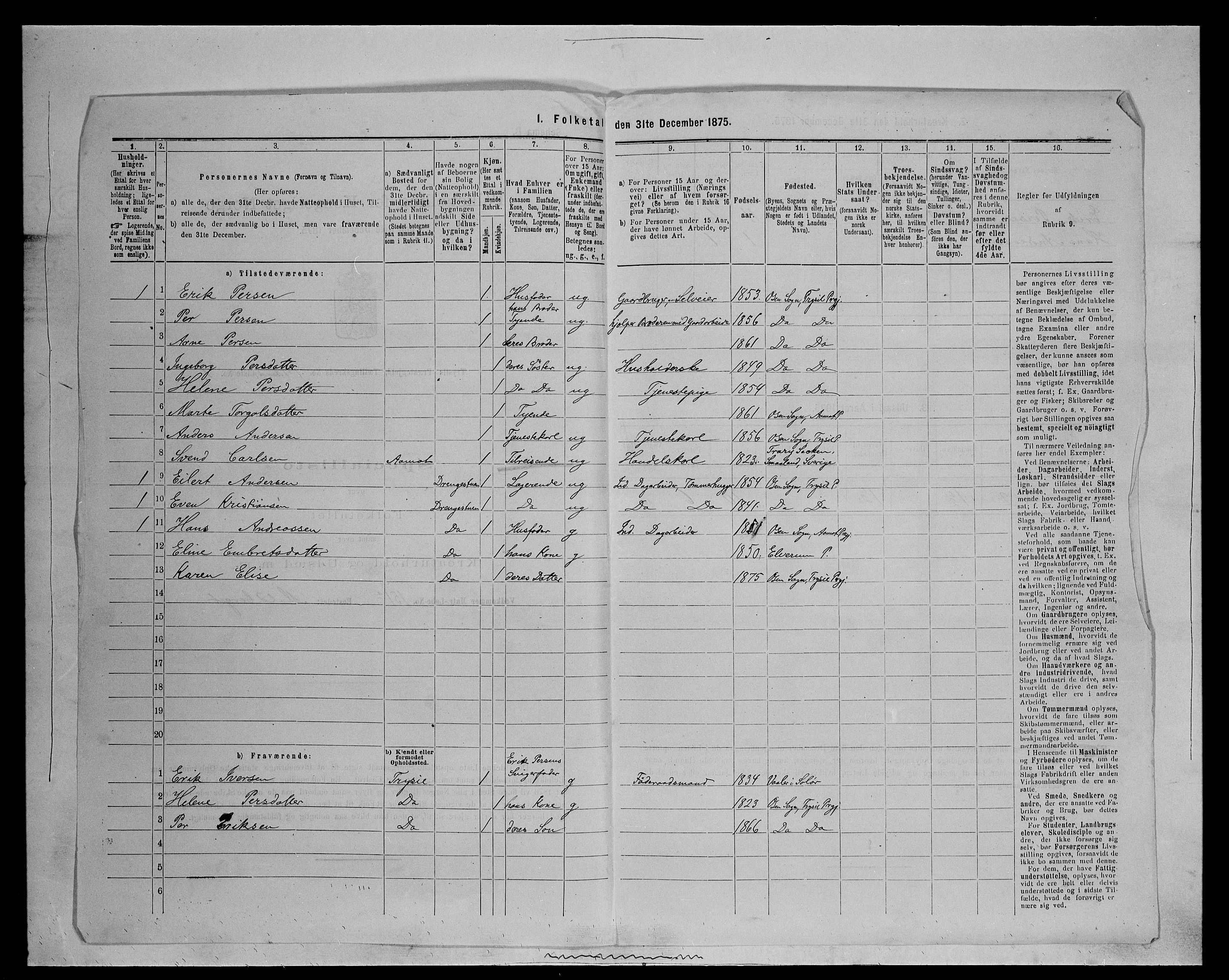 SAH, 1875 census for 0428P Trysil, 1875, p. 1433