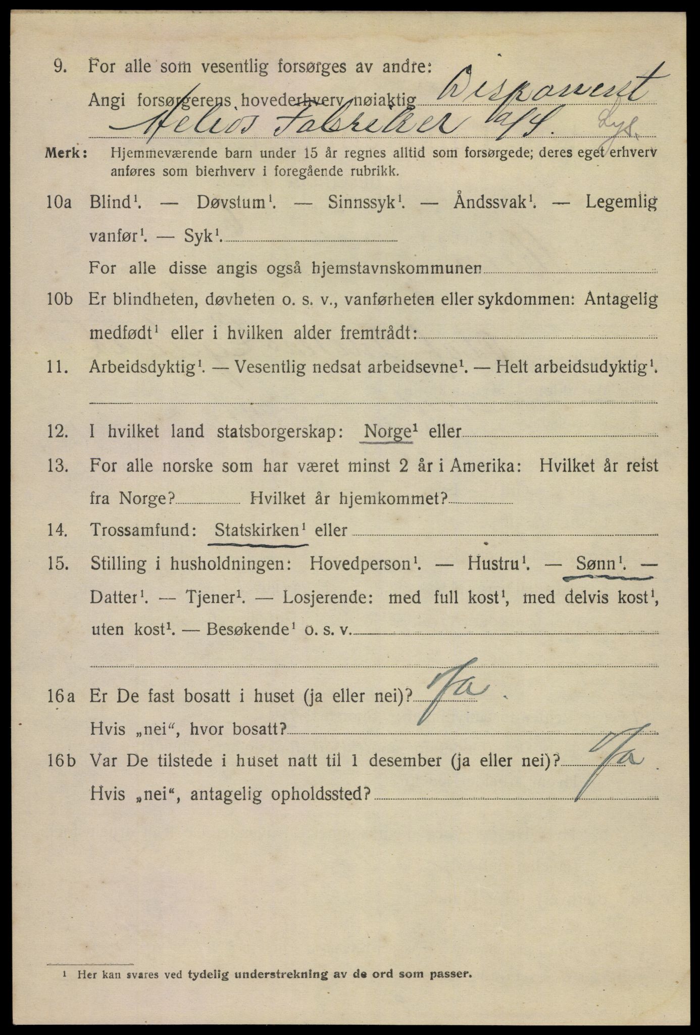 SAKO, 1920 census for Skien, 1920, p. 21223