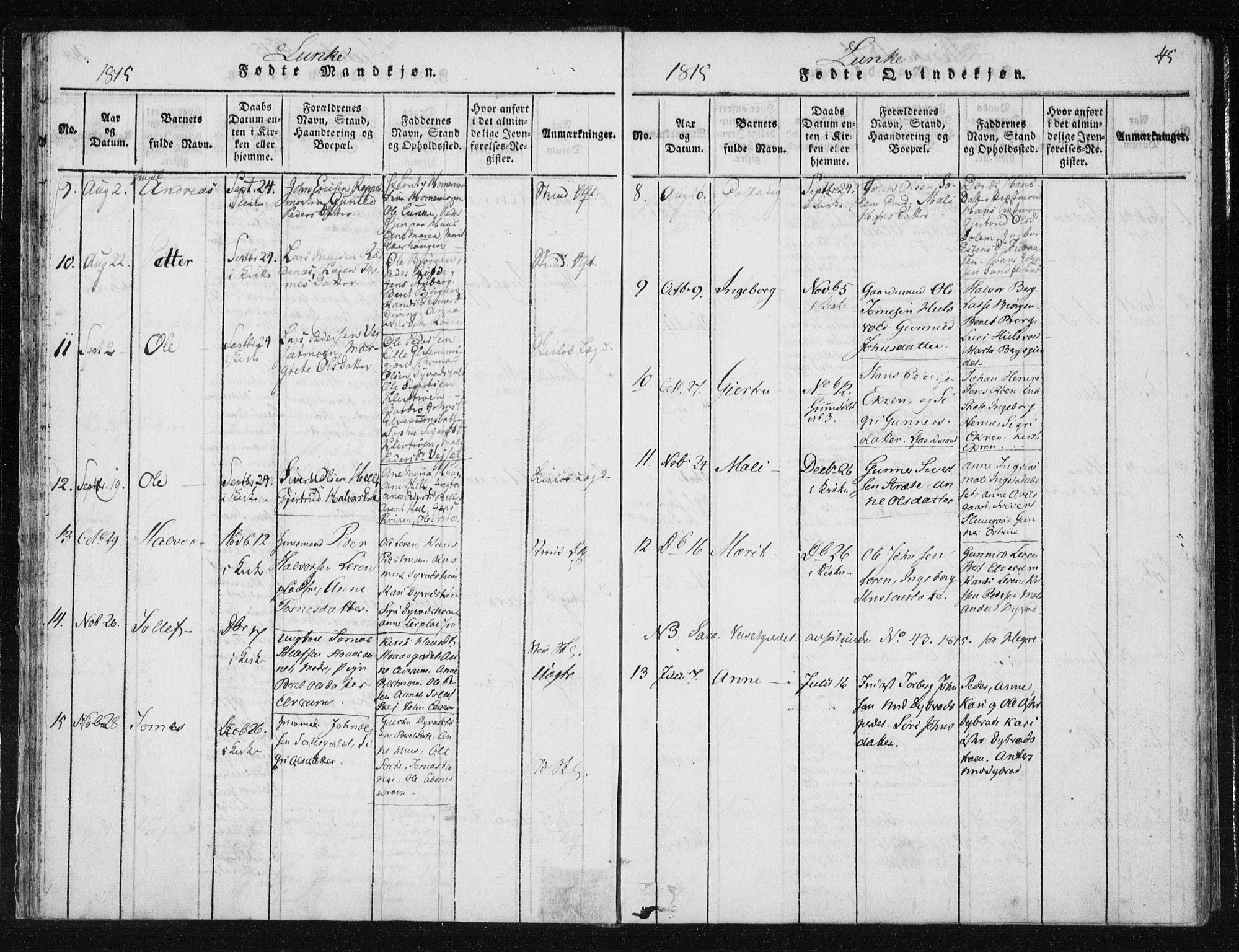Ministerialprotokoller, klokkerbøker og fødselsregistre - Nord-Trøndelag, SAT/A-1458/709/L0061: Parish register (official) no. 709A08 /3, 1815-1819, p. 45