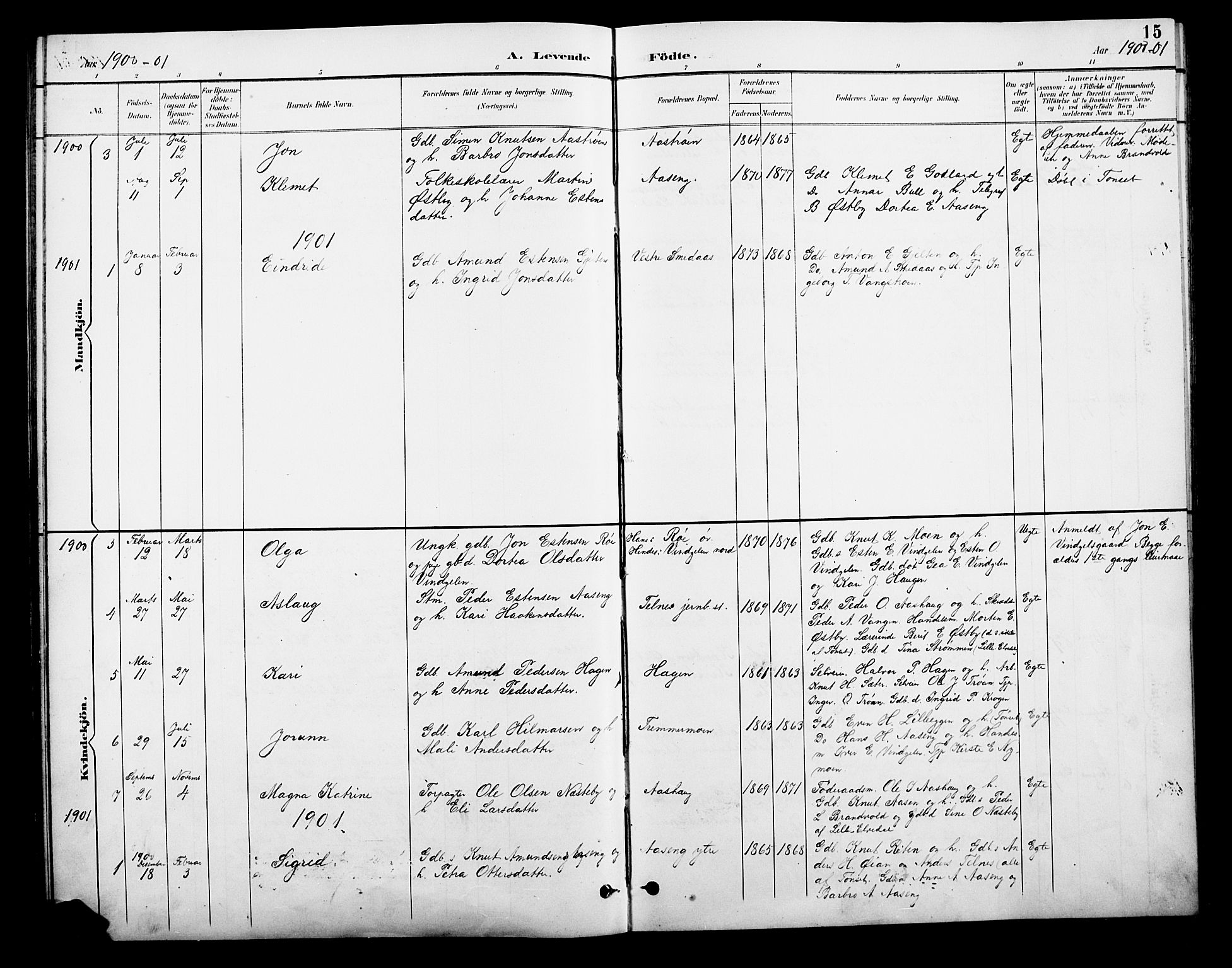 Tolga prestekontor, SAH/PREST-062/L/L0010: Parish register (copy) no. 10, 1894-1918, p. 15