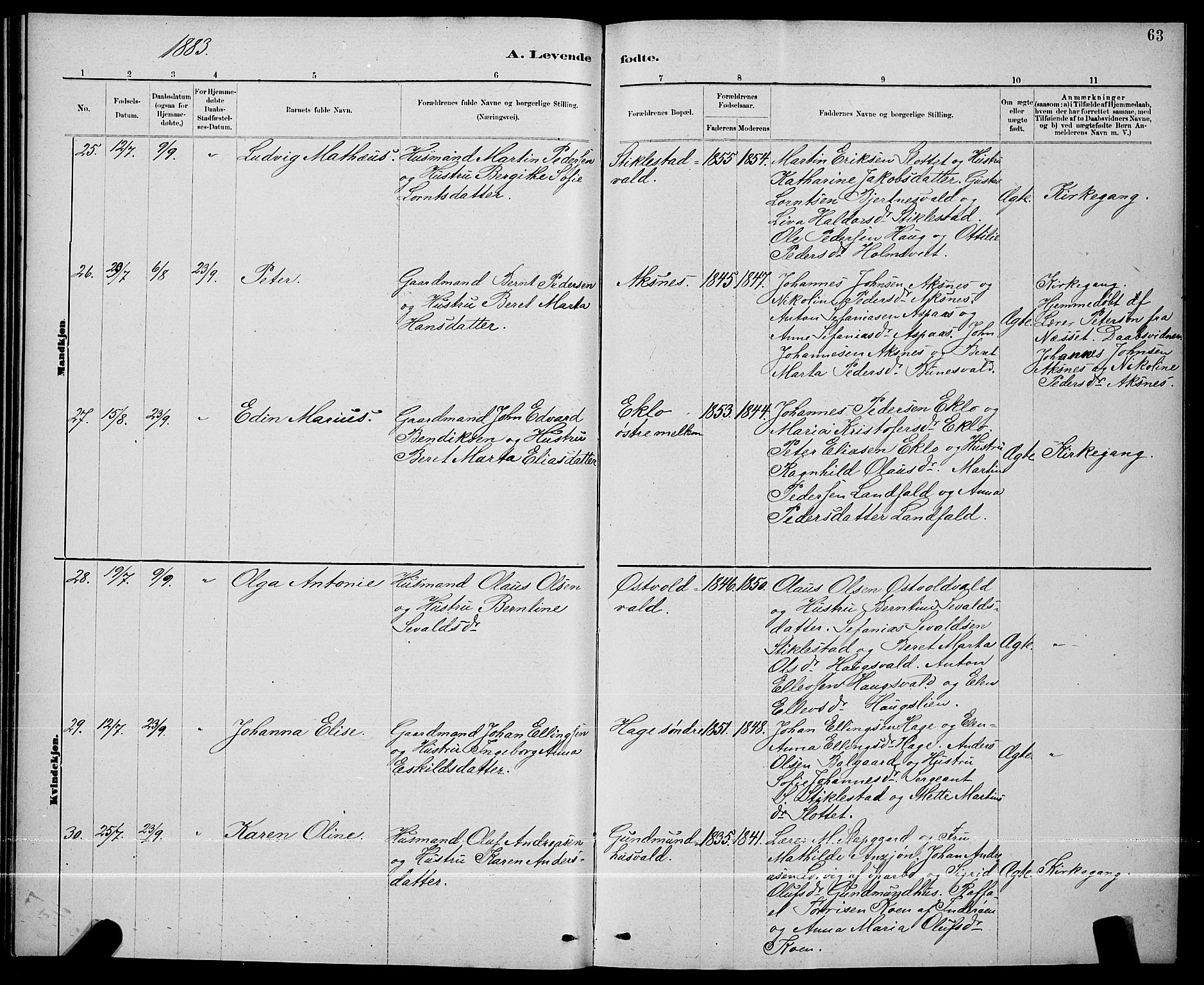 Ministerialprotokoller, klokkerbøker og fødselsregistre - Nord-Trøndelag, AV/SAT-A-1458/723/L0256: Parish register (copy) no. 723C04, 1879-1890, p. 63