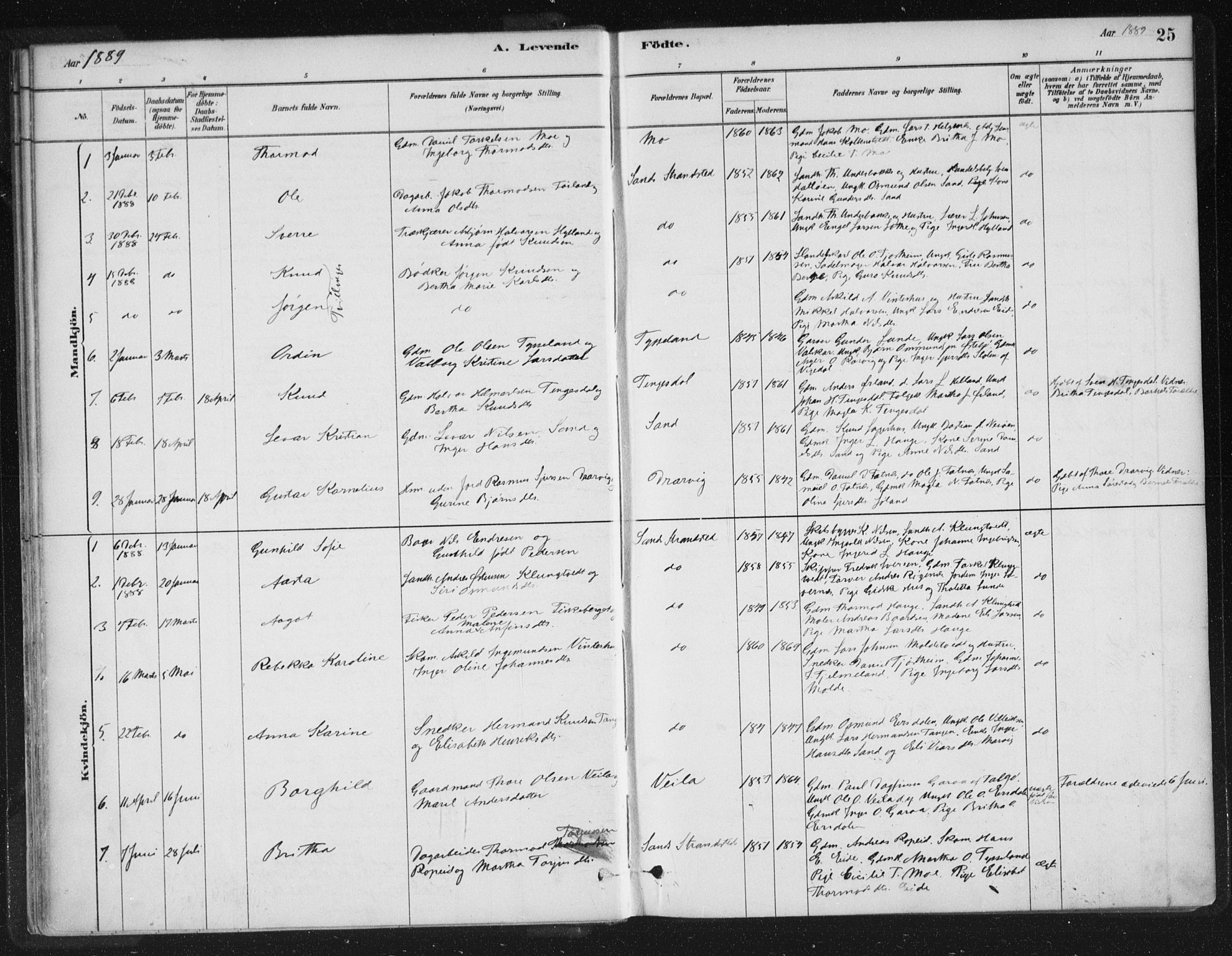 Sand sokneprestkontor, AV/SAST-A-101848/01/III/L0005: Parish register (official) no. A 5, 1880-1898, p. 25