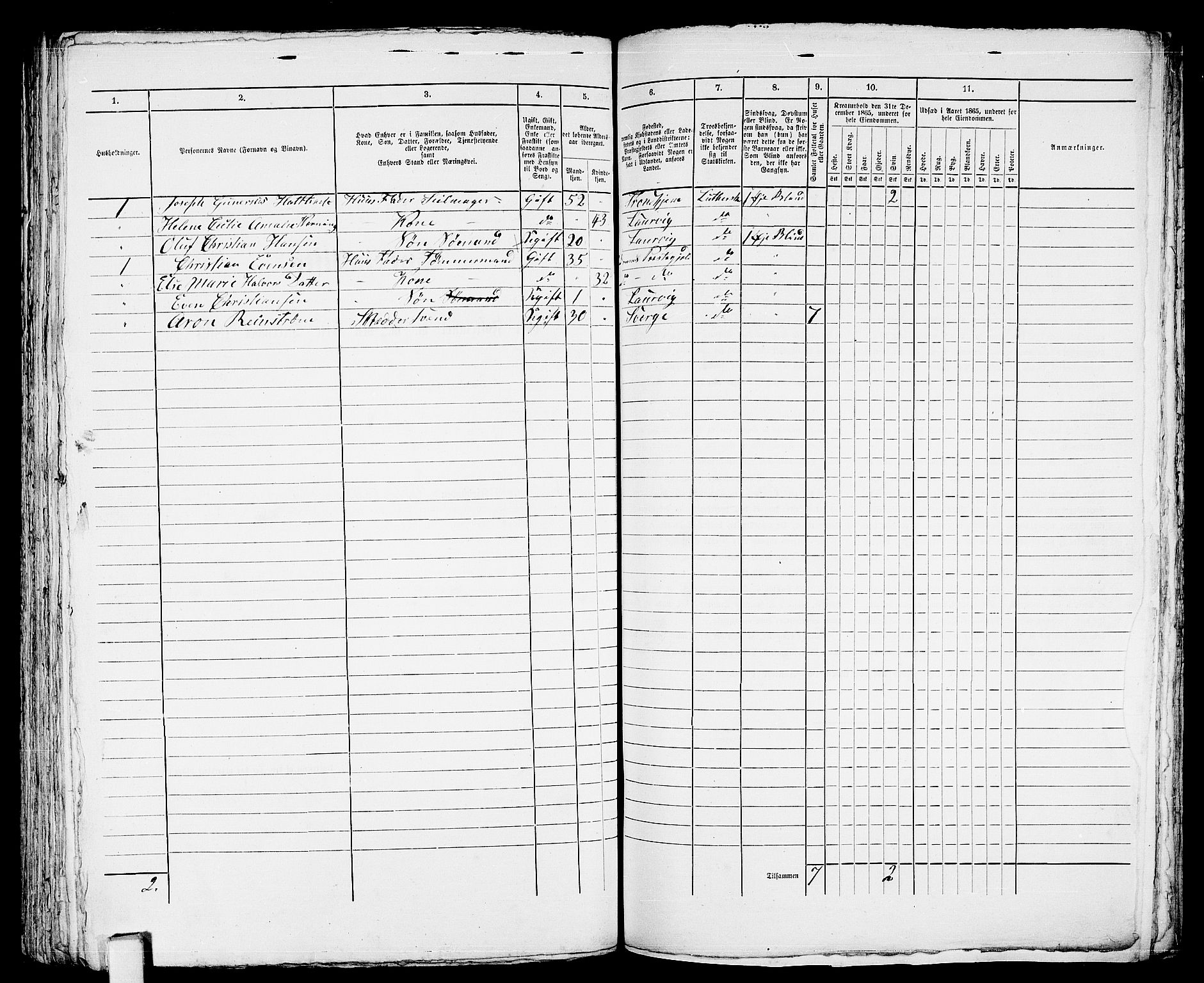 RA, 1865 census for Larvik, 1865, p. 454