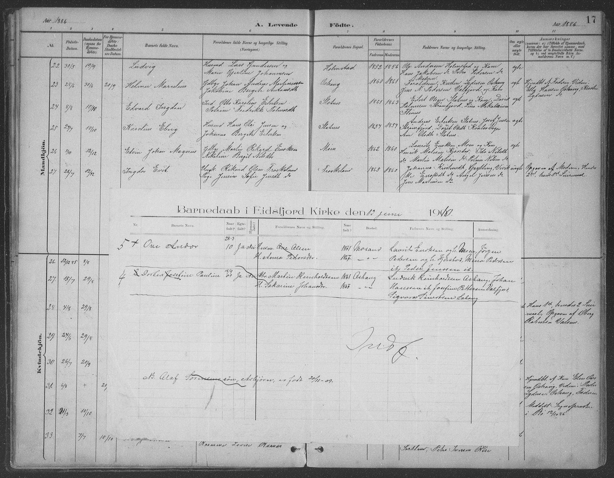 Ministerialprotokoller, klokkerbøker og fødselsregistre - Nordland, AV/SAT-A-1459/890/L1290: Parish register (copy) no. 890C01, 1882-1911, p. 17