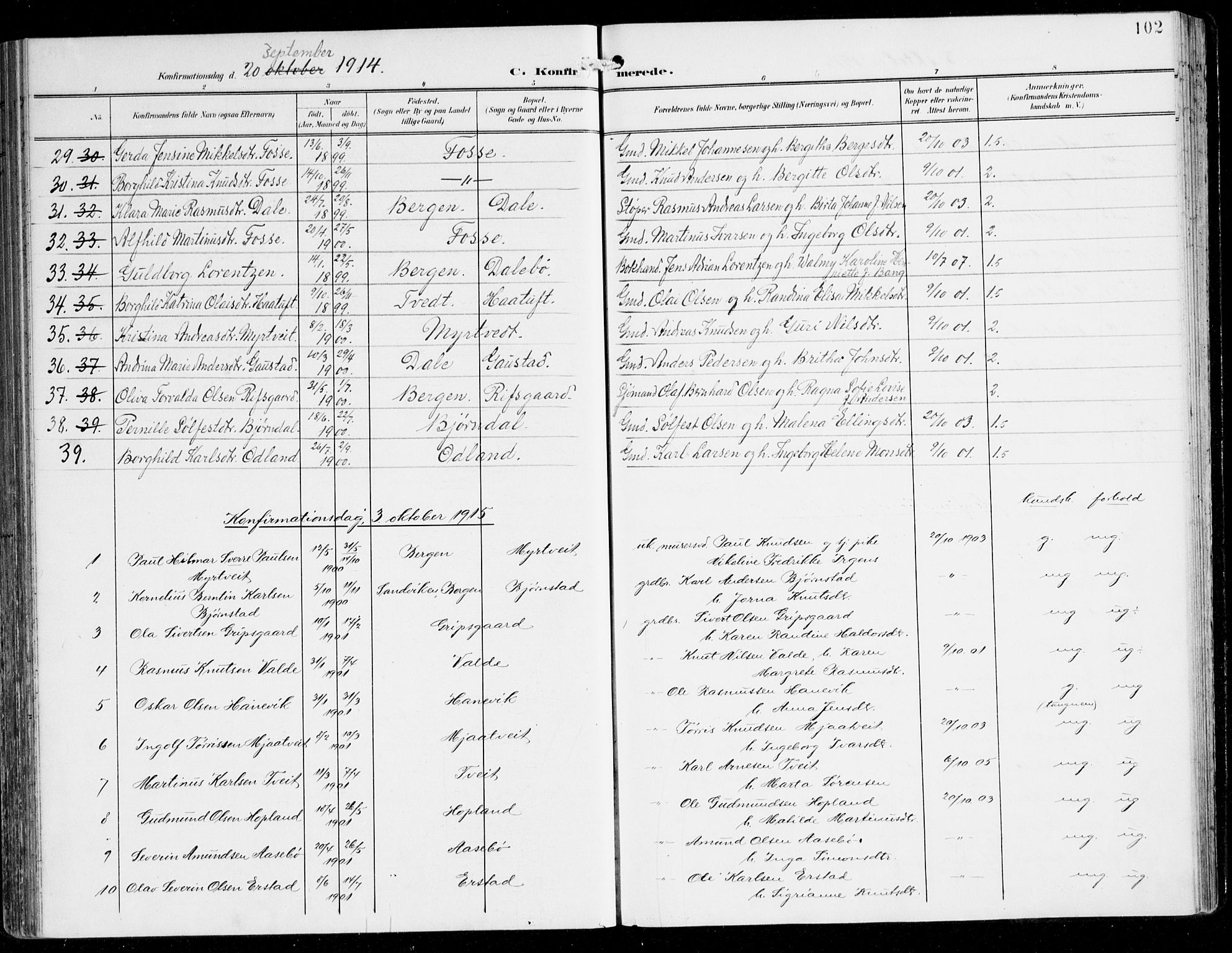 Alversund Sokneprestembete, SAB/A-73901/H/Ha/Haa/Haac/L0002: Parish register (official) no. C 2, 1901-1921, p. 102