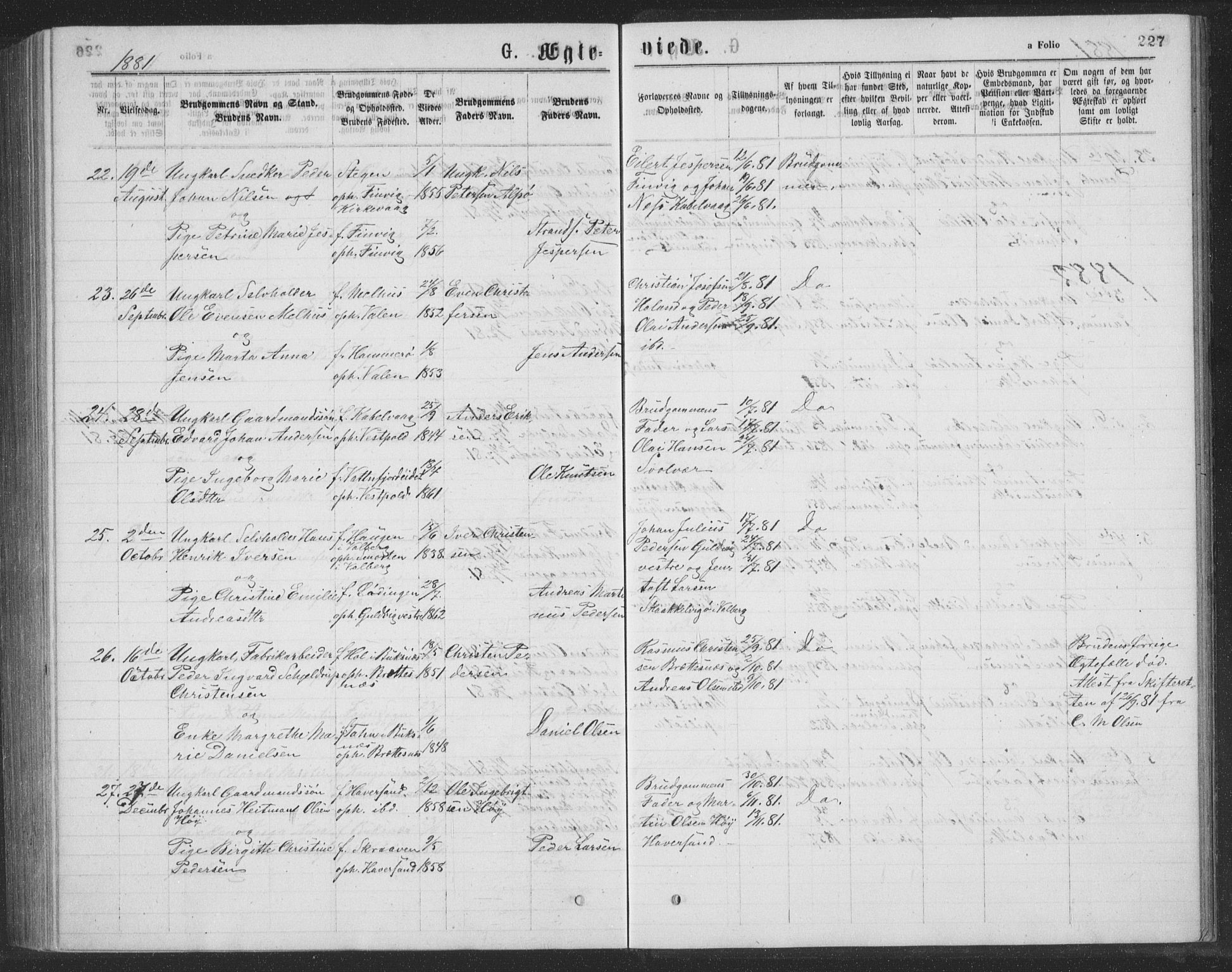 Ministerialprotokoller, klokkerbøker og fødselsregistre - Nordland, AV/SAT-A-1459/874/L1075: Parish register (copy) no. 874C04, 1876-1883, p. 227