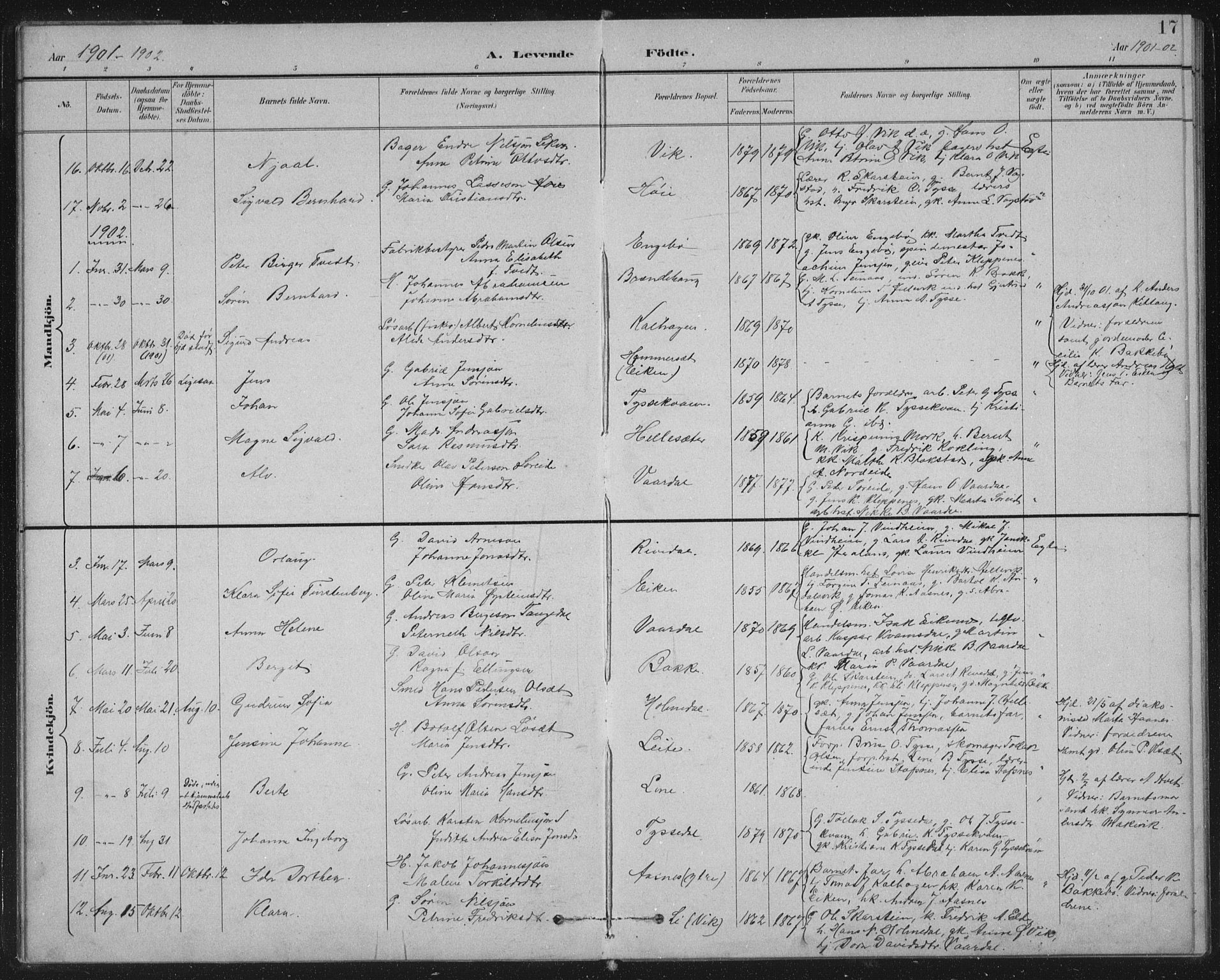 Fjaler sokneprestembete, AV/SAB-A-79801/H/Hab/Habb/L0002: Parish register (copy) no. B 2, 1895-1915, p. 17