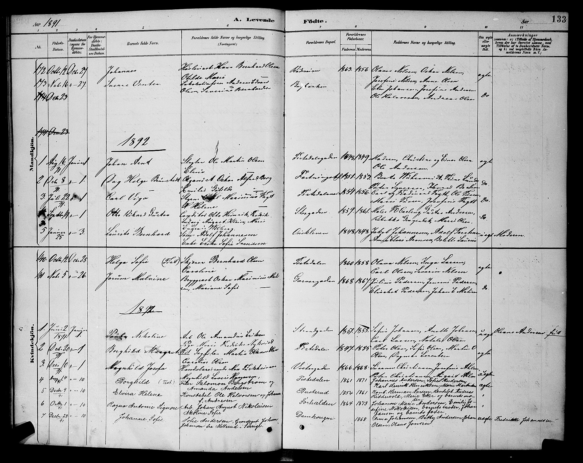 Halden prestekontor Kirkebøker, SAO/A-10909/G/Ga/L0008: Parish register (copy) no. 8, 1885-1899, p. 133
