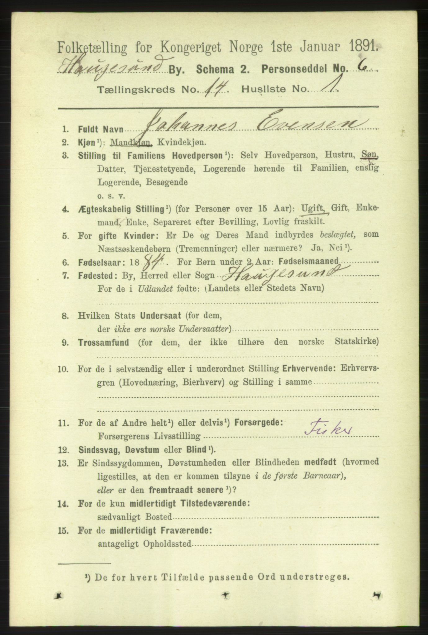 RA, 1891 census for 1106 Haugesund, 1891, p. 4665