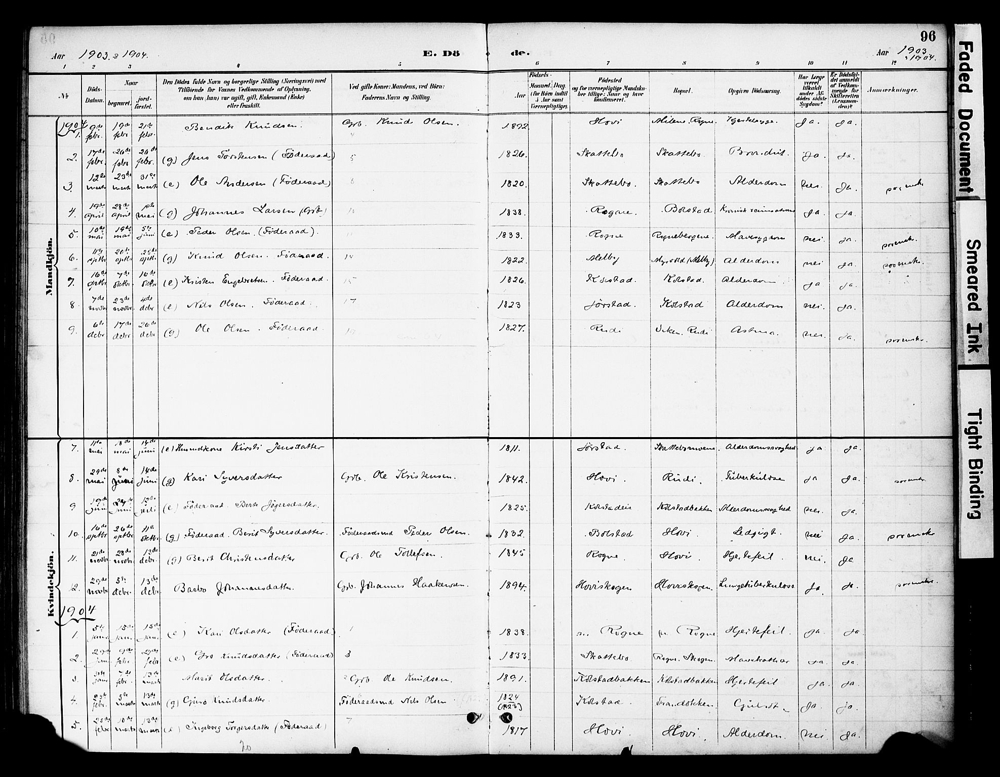 Øystre Slidre prestekontor, SAH/PREST-138/H/Ha/Haa/L0003: Parish register (official) no. 3, 1887-1910, p. 96