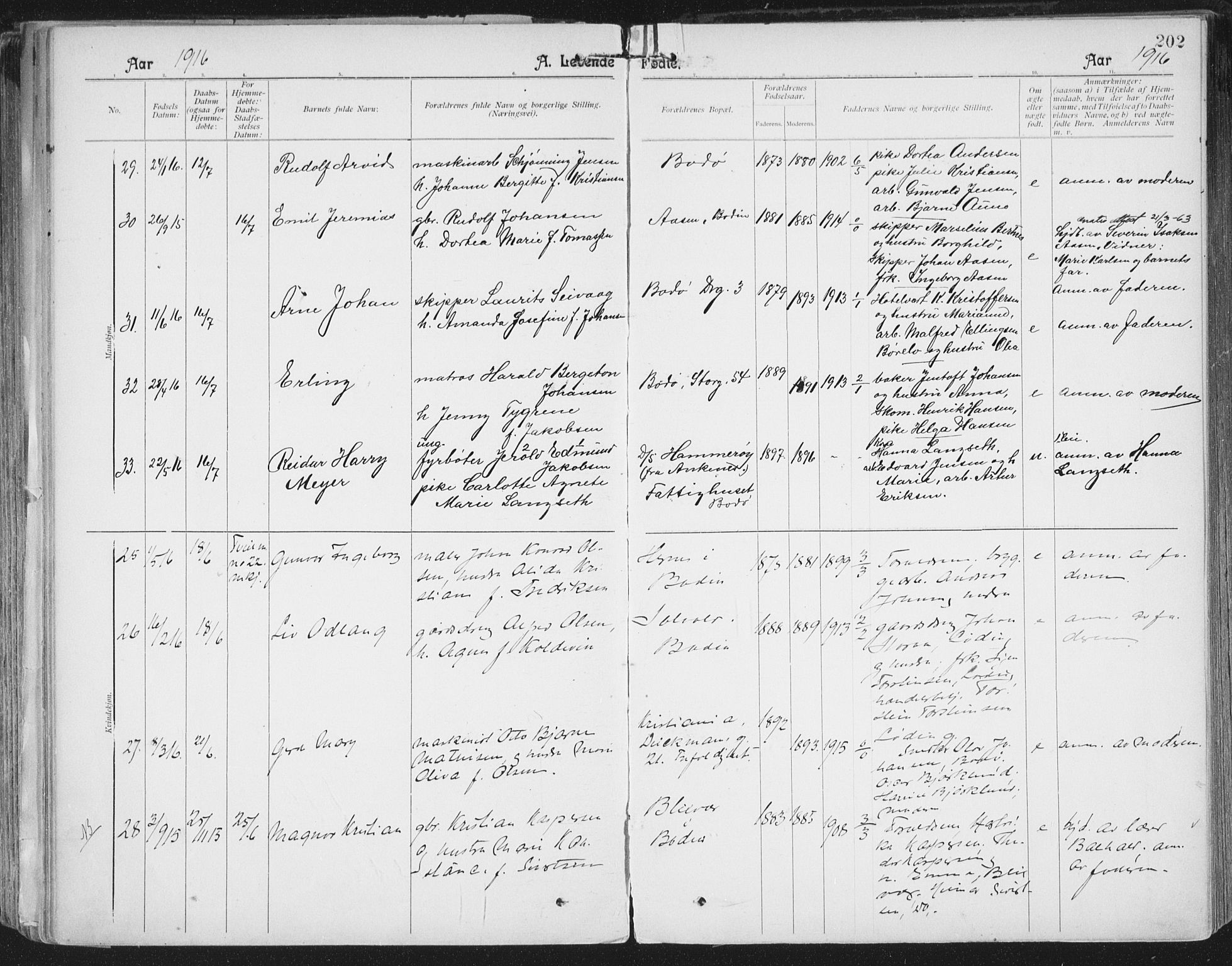 Ministerialprotokoller, klokkerbøker og fødselsregistre - Nordland, AV/SAT-A-1459/801/L0011: Parish register (official) no. 801A11, 1900-1916, p. 202