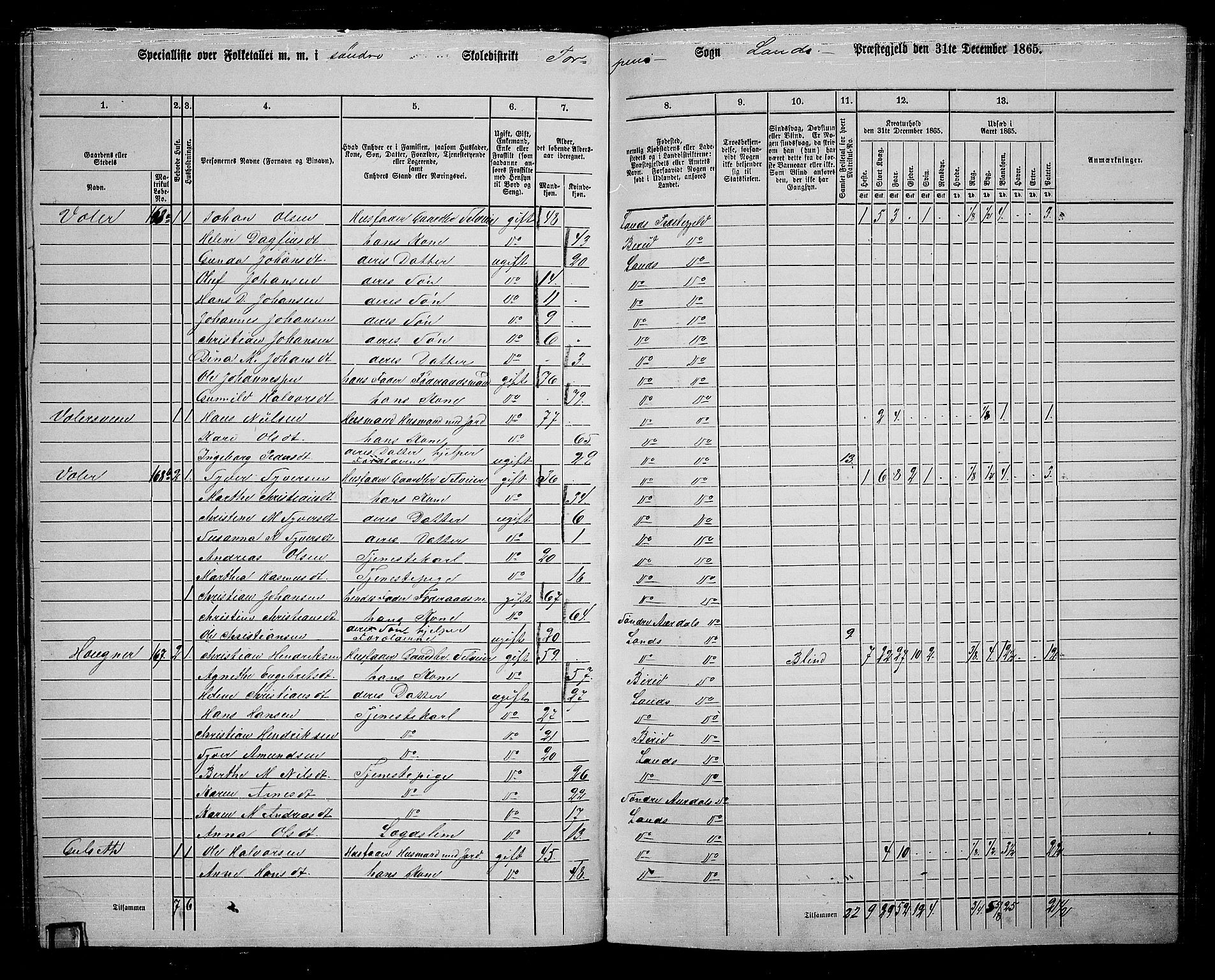 RA, 1865 census for Land, 1865, p. 111