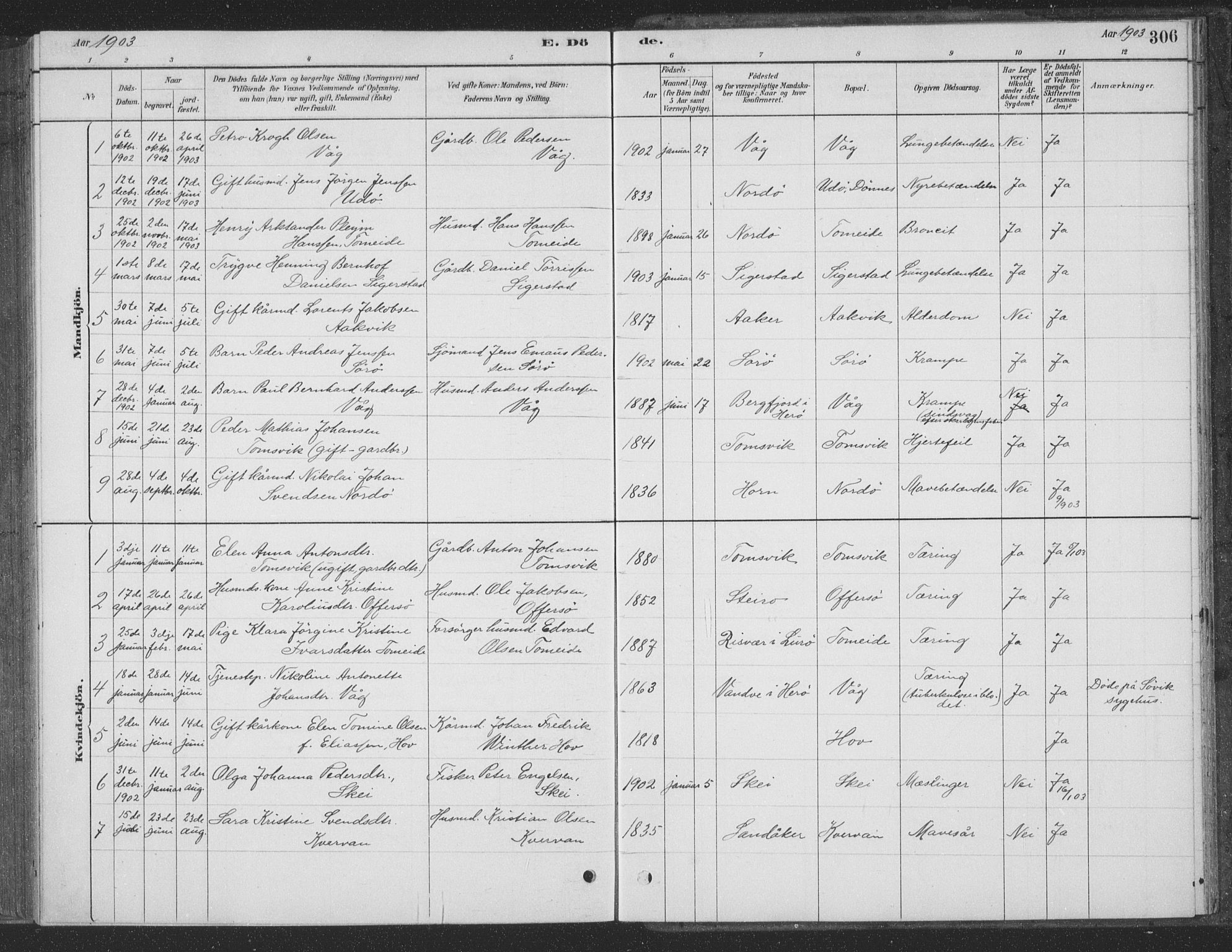 Ministerialprotokoller, klokkerbøker og fødselsregistre - Nordland, AV/SAT-A-1459/835/L0532: Parish register (copy) no. 835C04, 1880-1905, p. 306