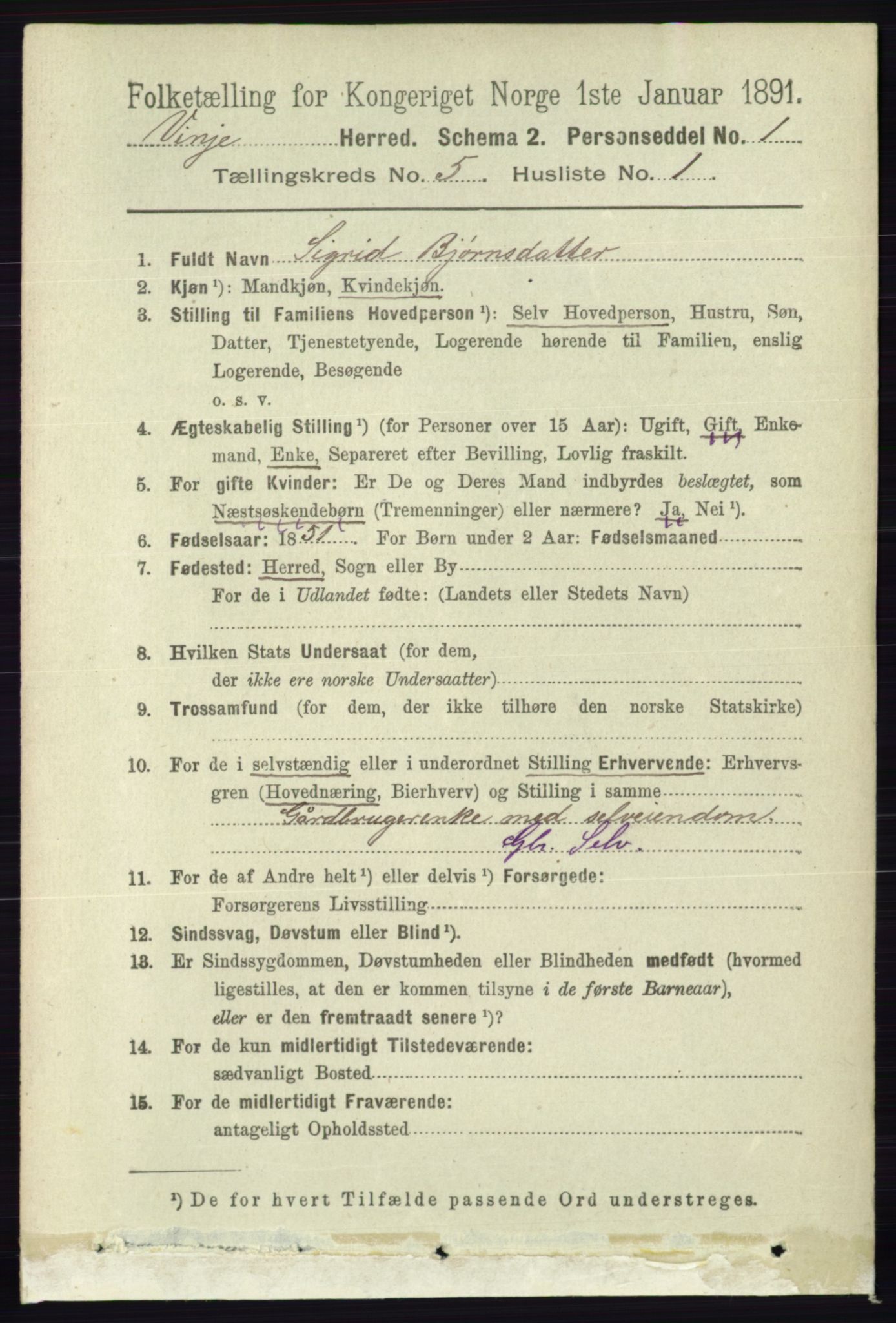 RA, 1891 census for 0834 Vinje, 1891, p. 1048