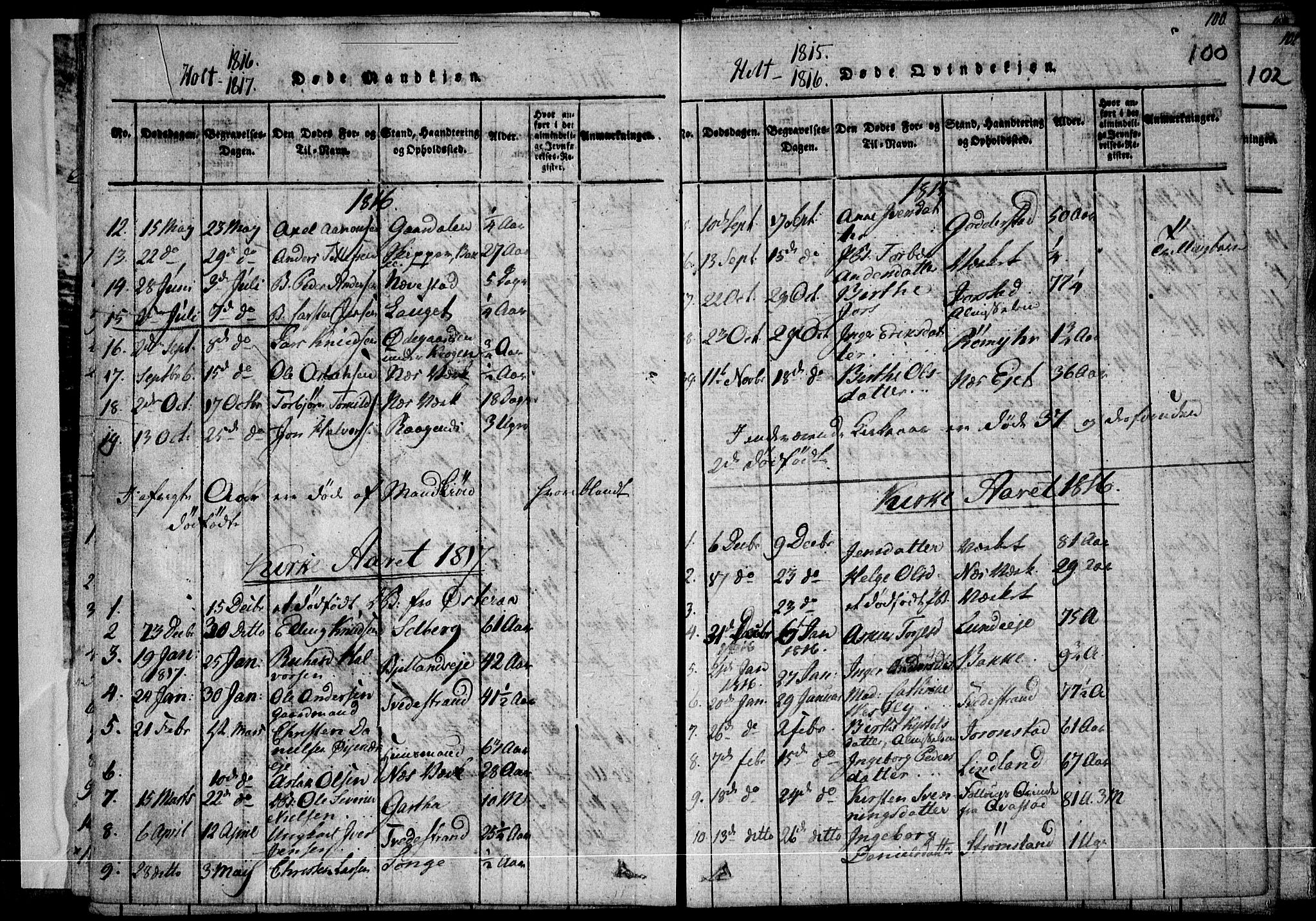 Holt sokneprestkontor, AV/SAK-1111-0021/F/Fa/L0005: Parish register (official) no. A 5, 1813-1821, p. 100