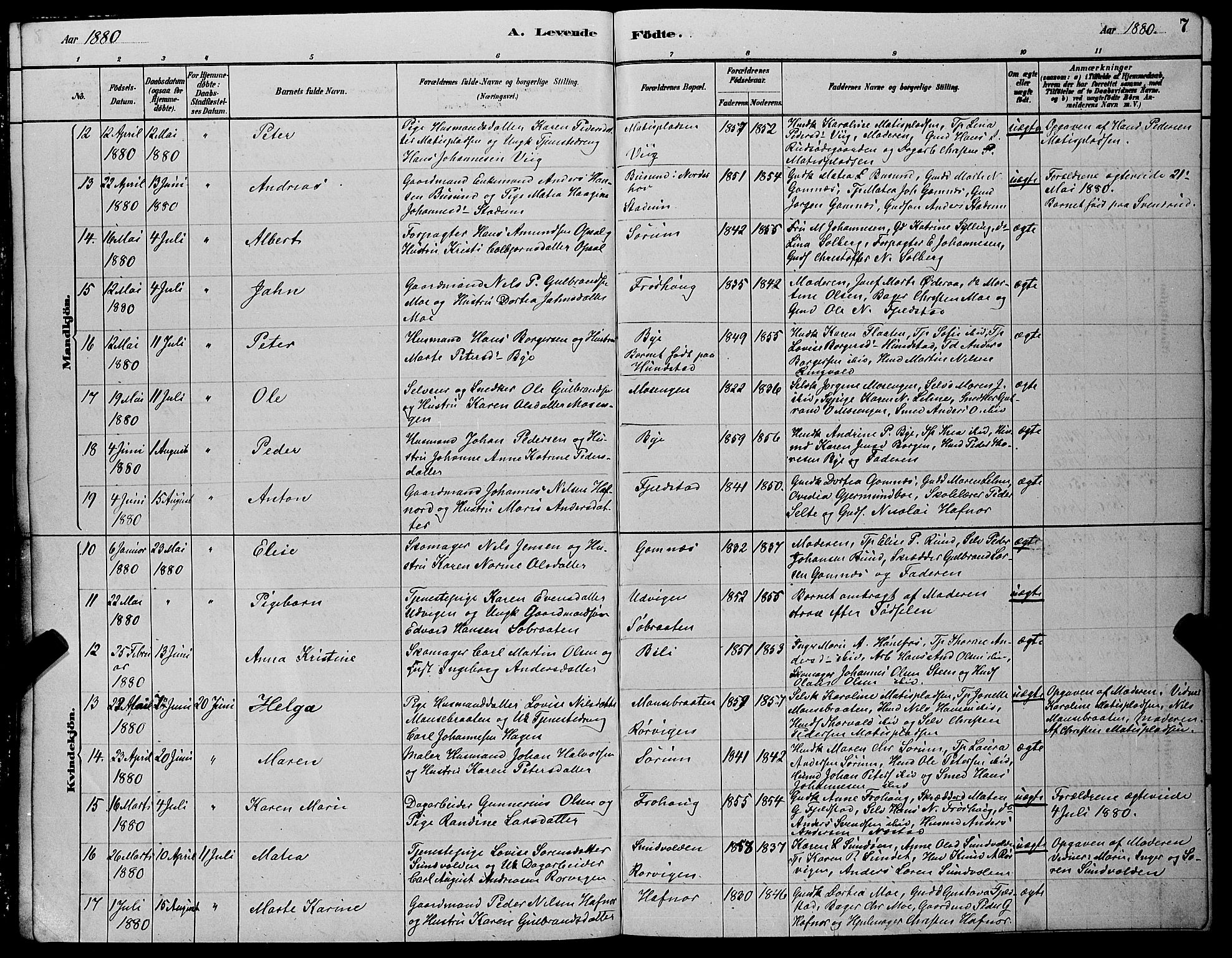 Hole kirkebøker, AV/SAKO-A-228/G/Ga/L0003: Parish register (copy) no. I 3, 1879-1904, p. 7