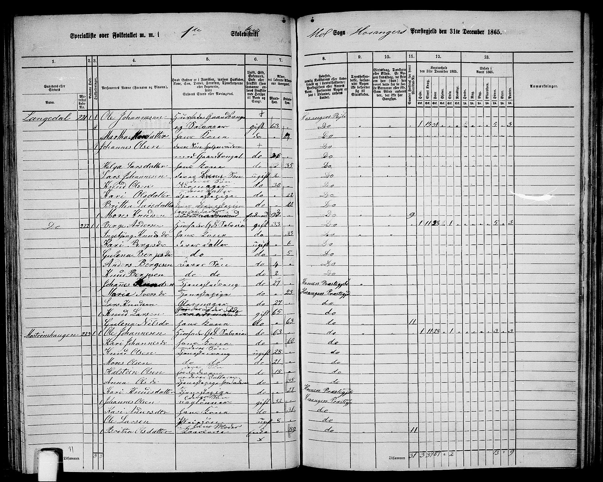 RA, 1865 census for Hosanger, 1865, p. 120