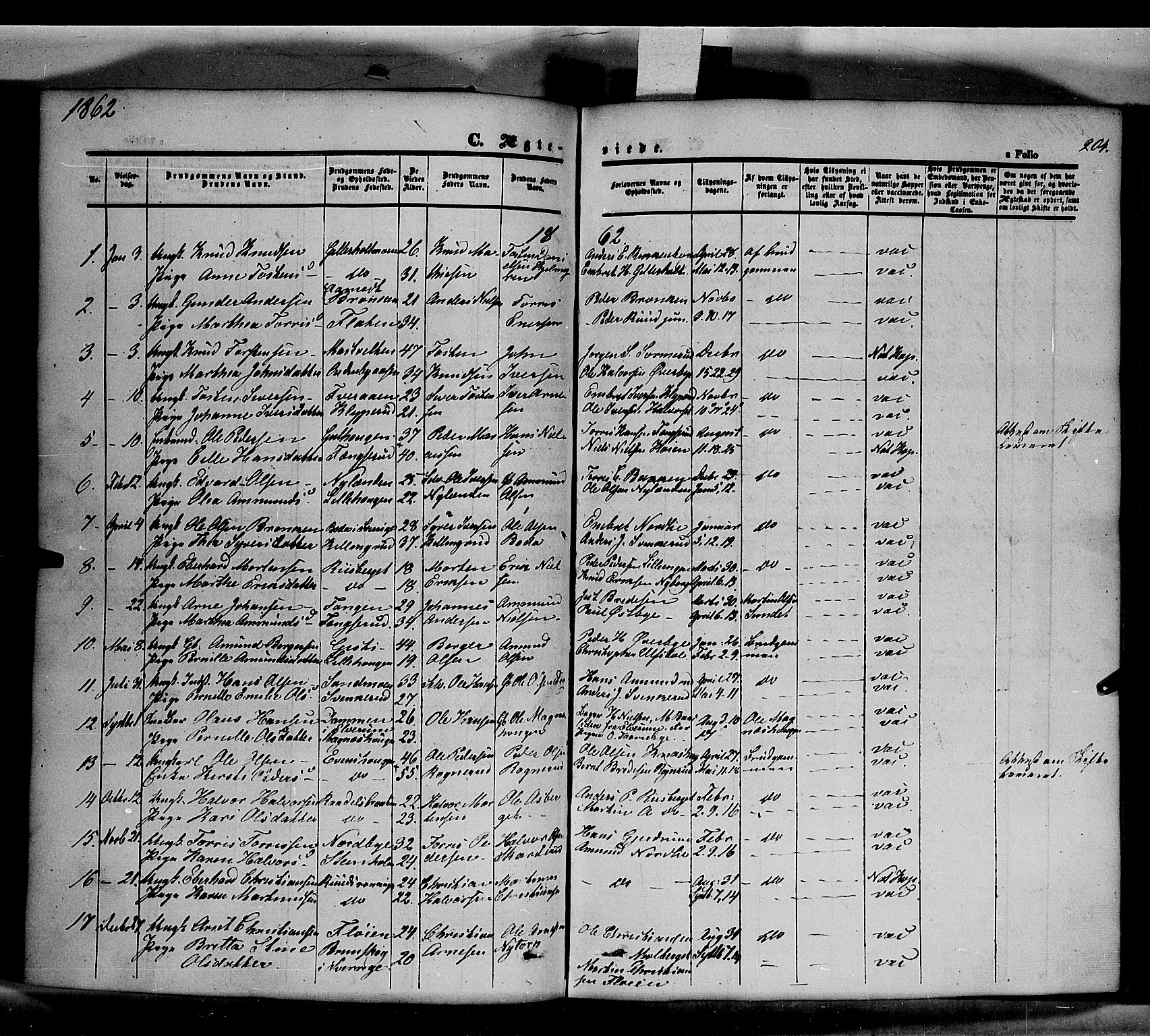 Våler prestekontor, Hedmark, SAH/PREST-040/H/Ha/Haa/L0001: Parish register (official) no. 1, 1849-1878, p. 204