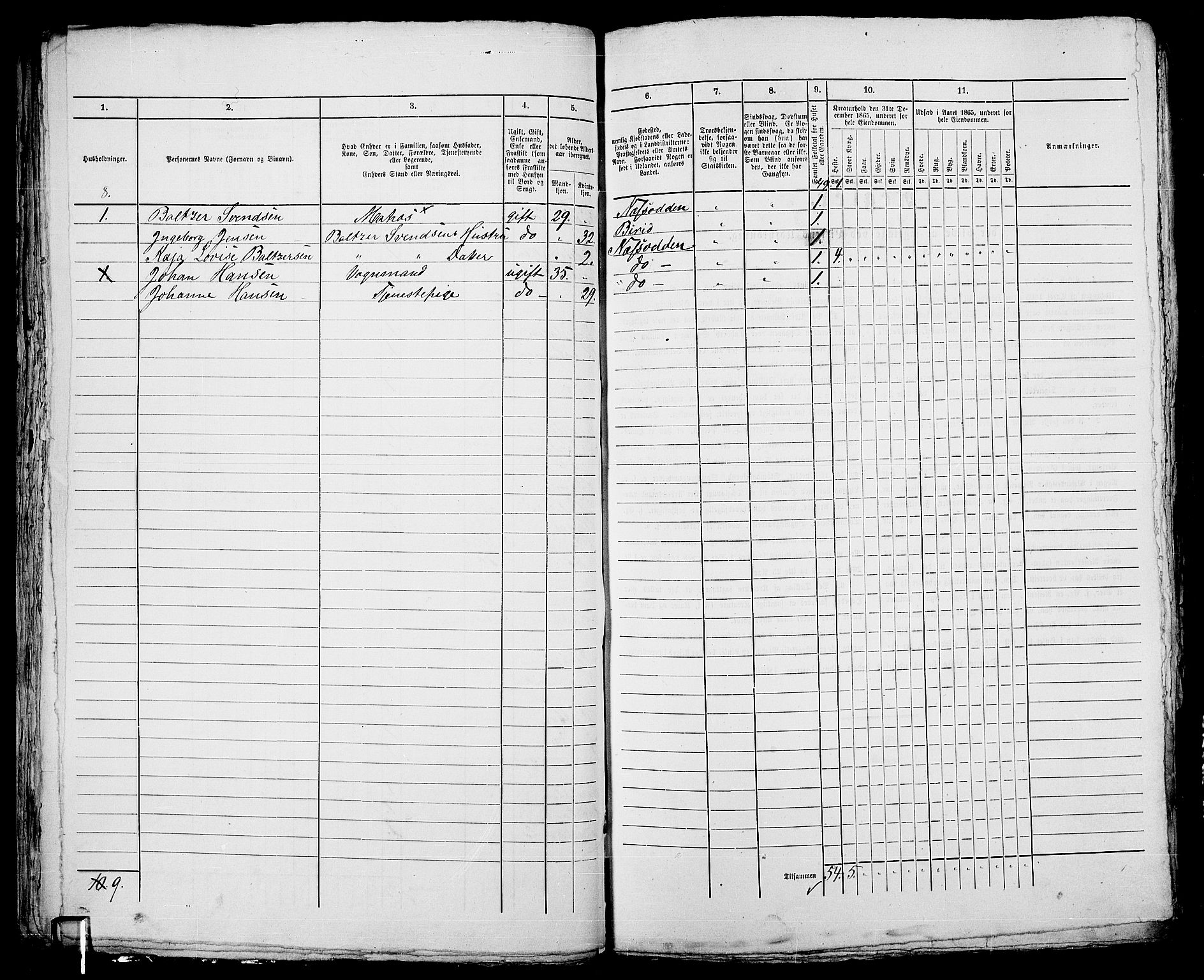 RA, 1865 census for Kristiania, 1865, p. 667