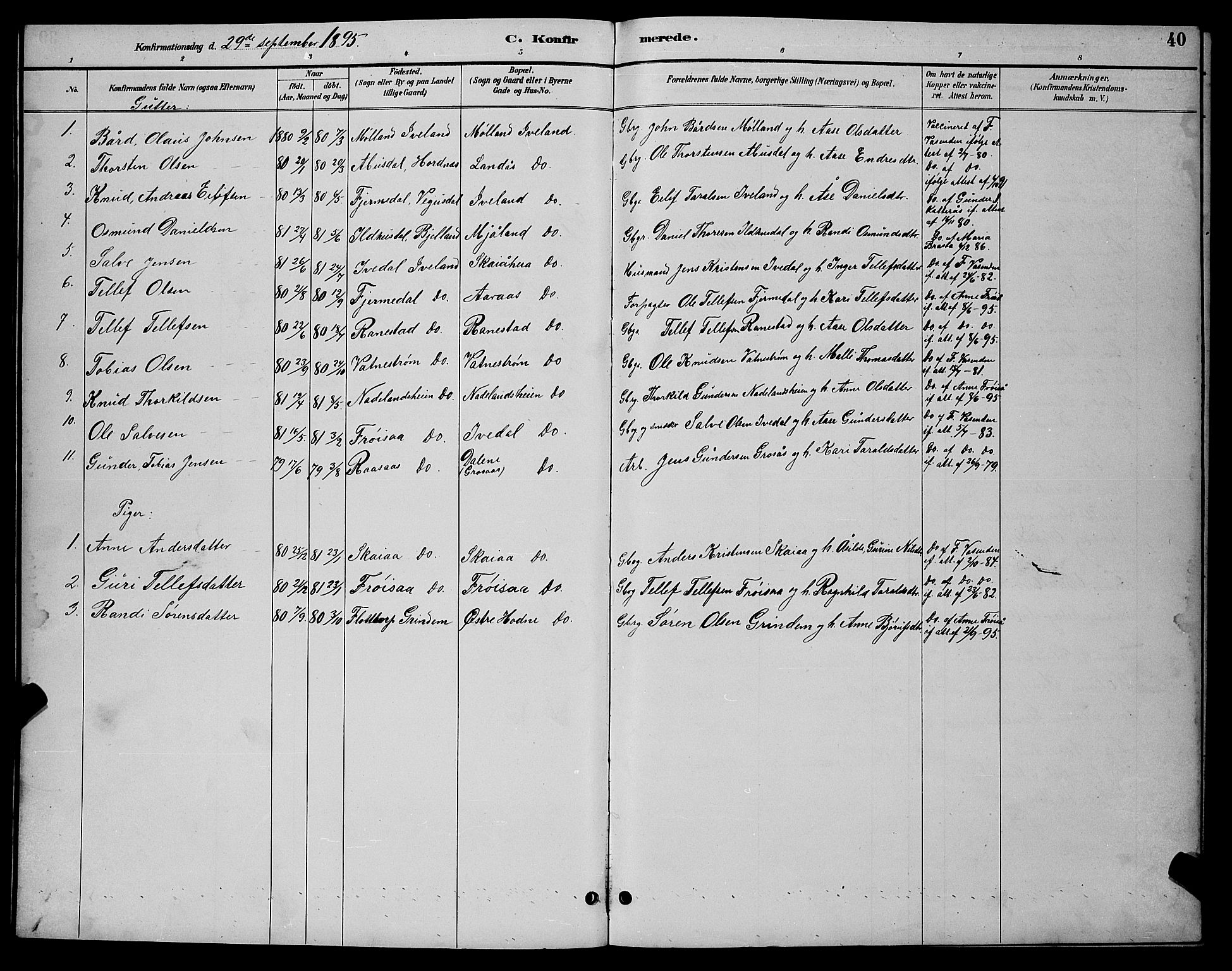 Evje sokneprestkontor, AV/SAK-1111-0008/F/Fb/Fbc/L0004: Parish register (copy) no. B 4, 1890-1900, p. 40