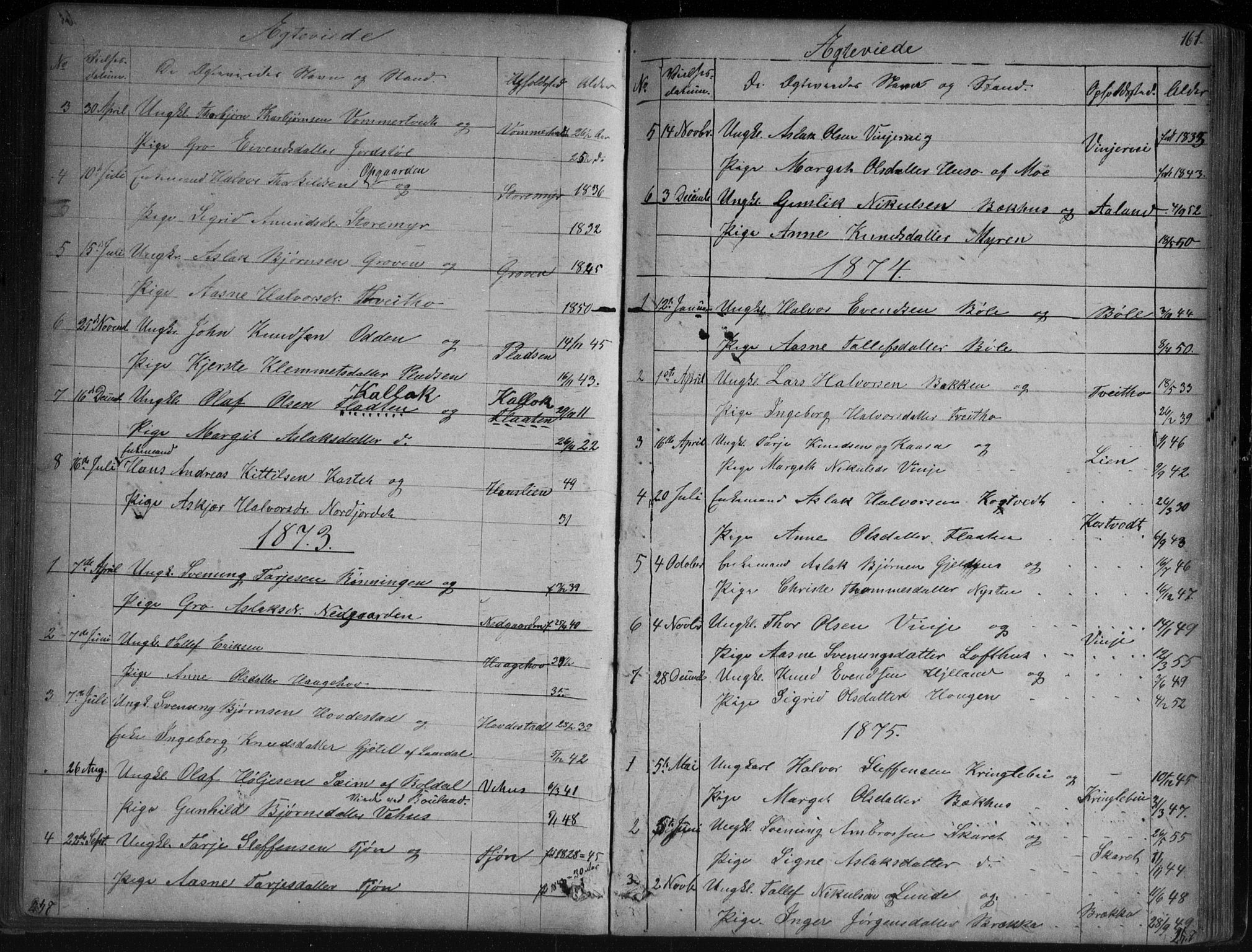Vinje kirkebøker, SAKO/A-312/G/Ga/L0002: Parish register (copy) no. I 2, 1849-1893, p. 161