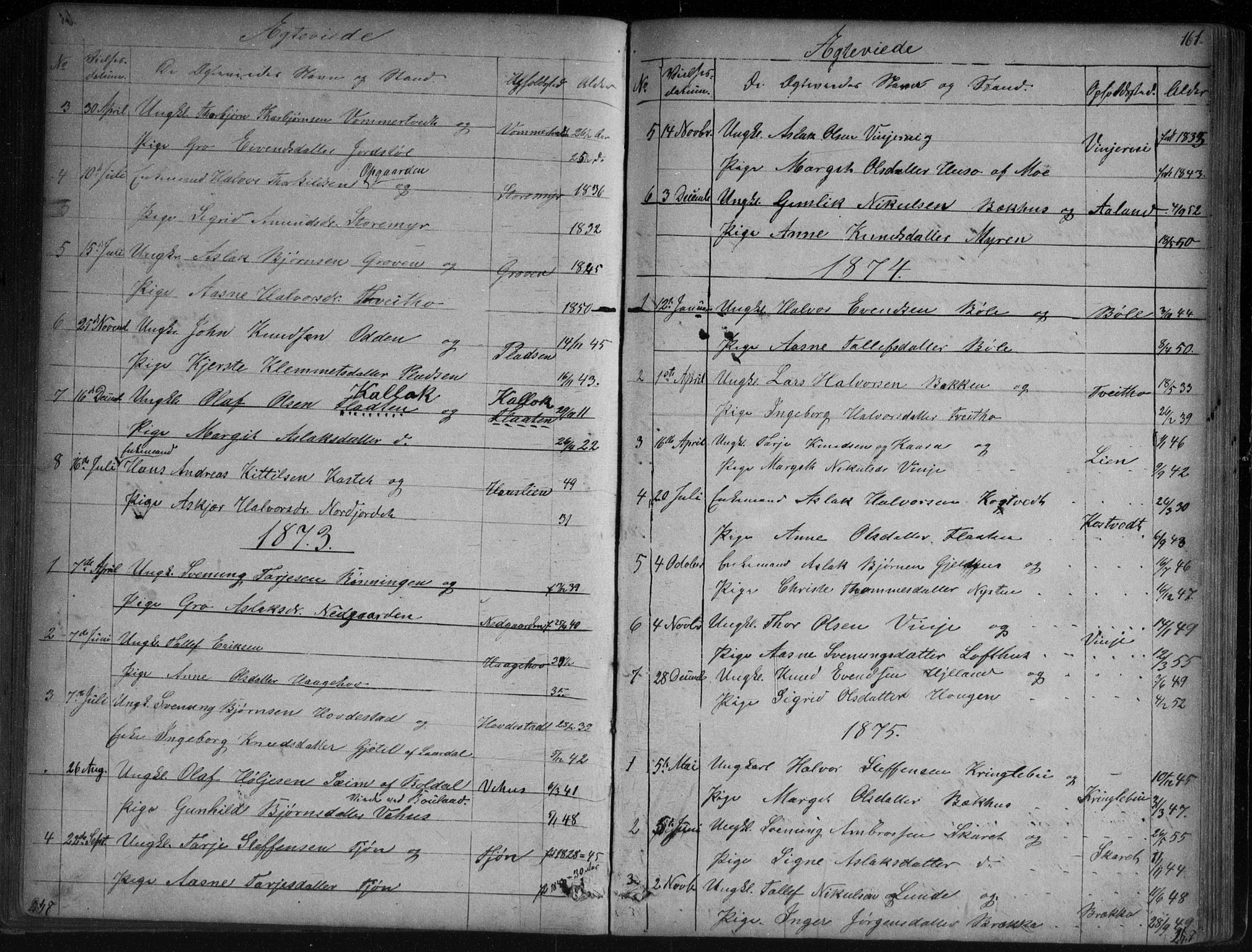 Vinje kirkebøker, AV/SAKO-A-312/G/Ga/L0002: Parish register (copy) no. I 2, 1849-1893, p. 161