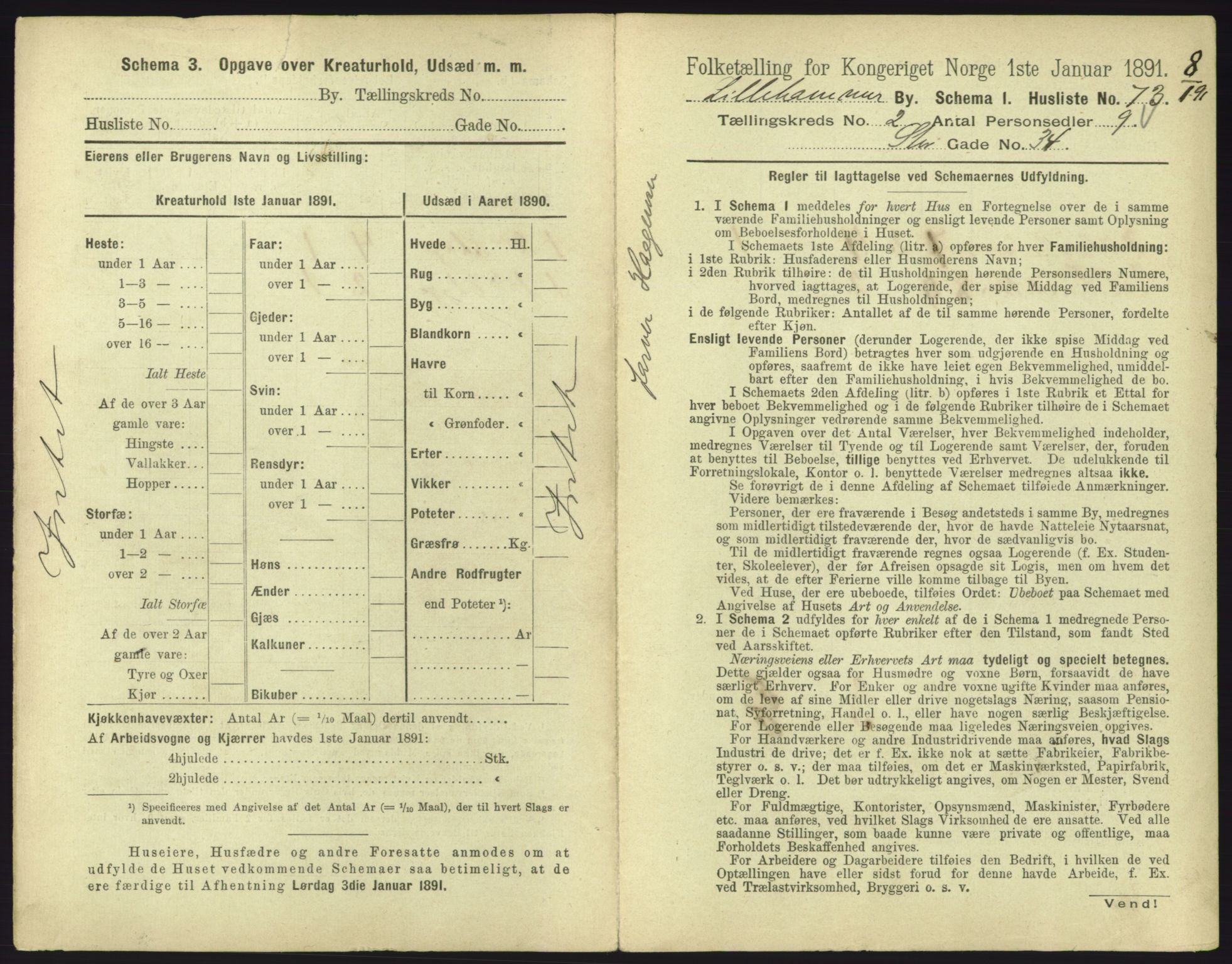 RA, 1891 census for 0501 Lillehammer, 1891, p. 365