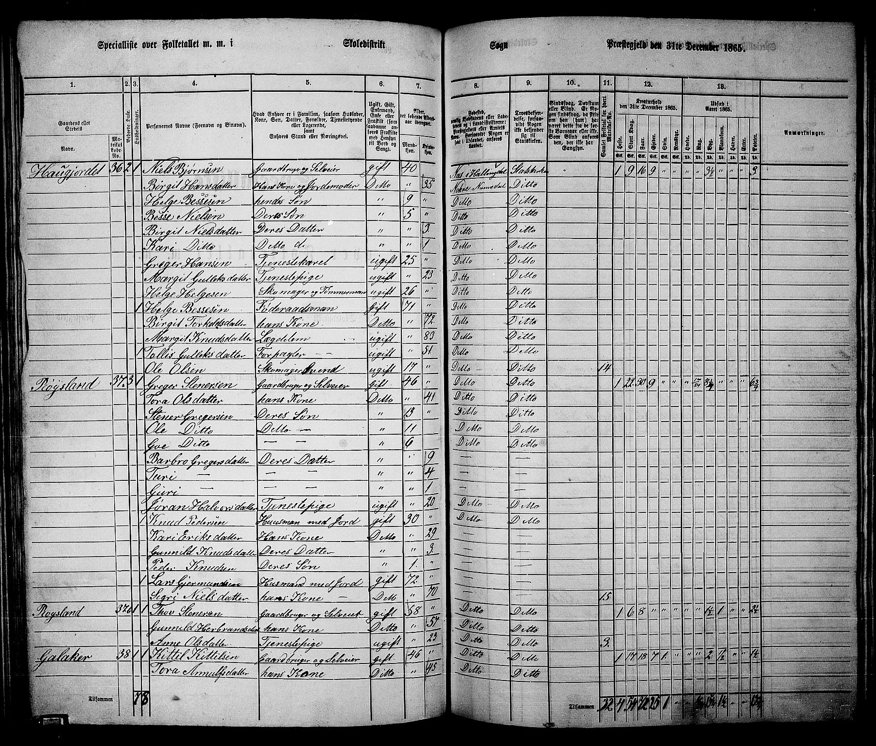 RA, 1865 census for Nore, 1865, p. 104