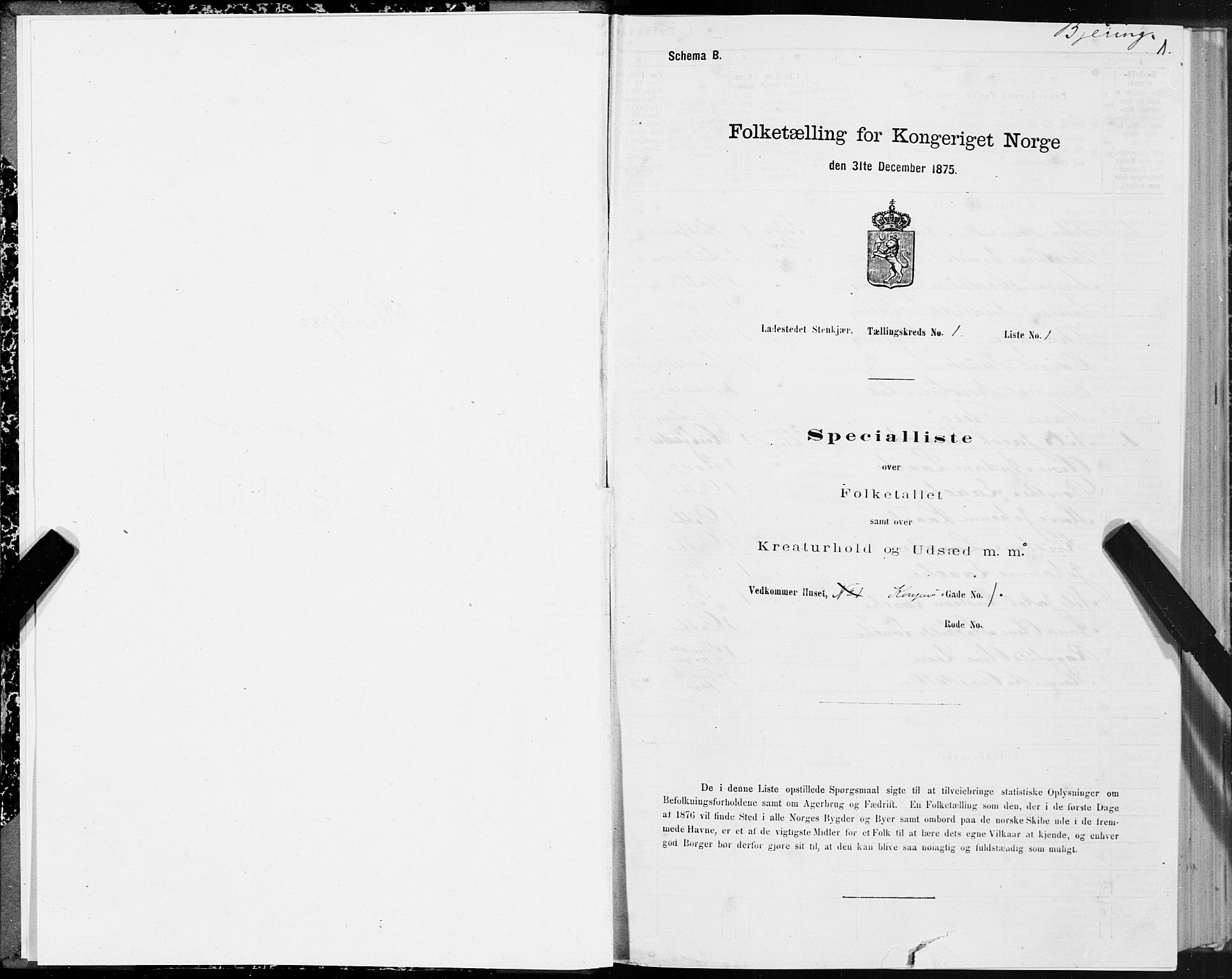 SAT, 1875 census for 1702B Steinkjer/Steinkjer, 1875, p. 1