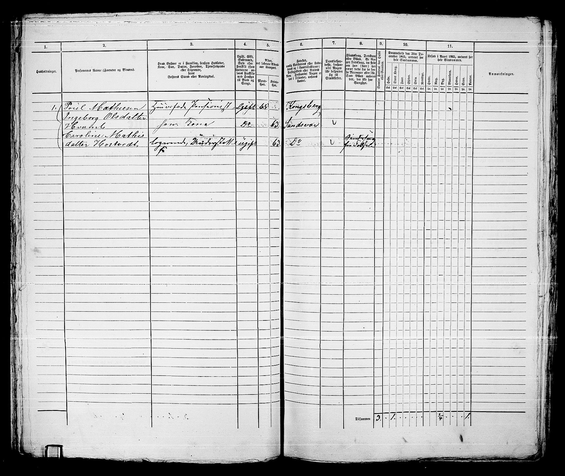 RA, 1865 census for Kongsberg/Kongsberg, 1865, p. 1235