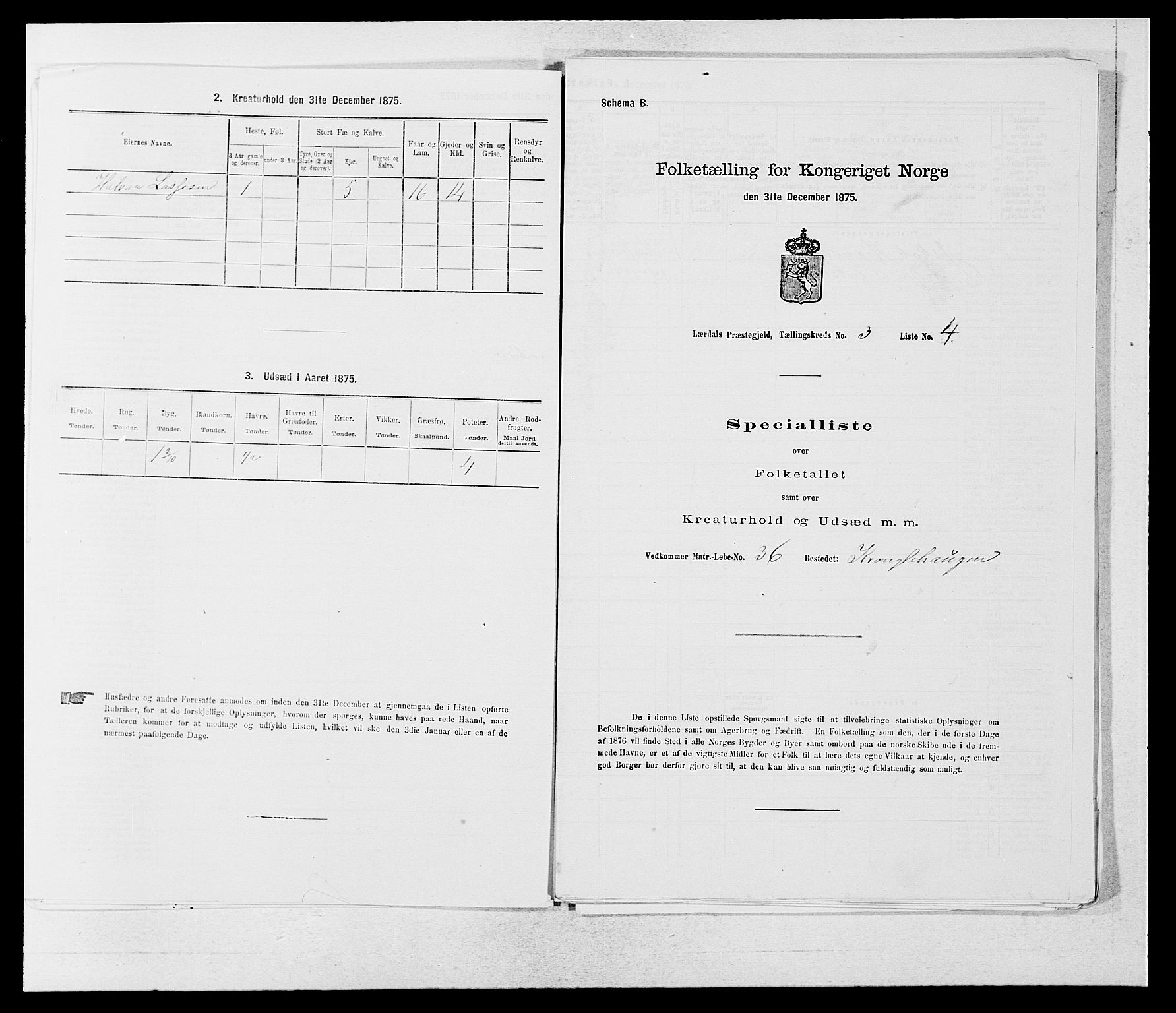 SAB, 1875 census for 1422P Lærdal, 1875, p. 1071