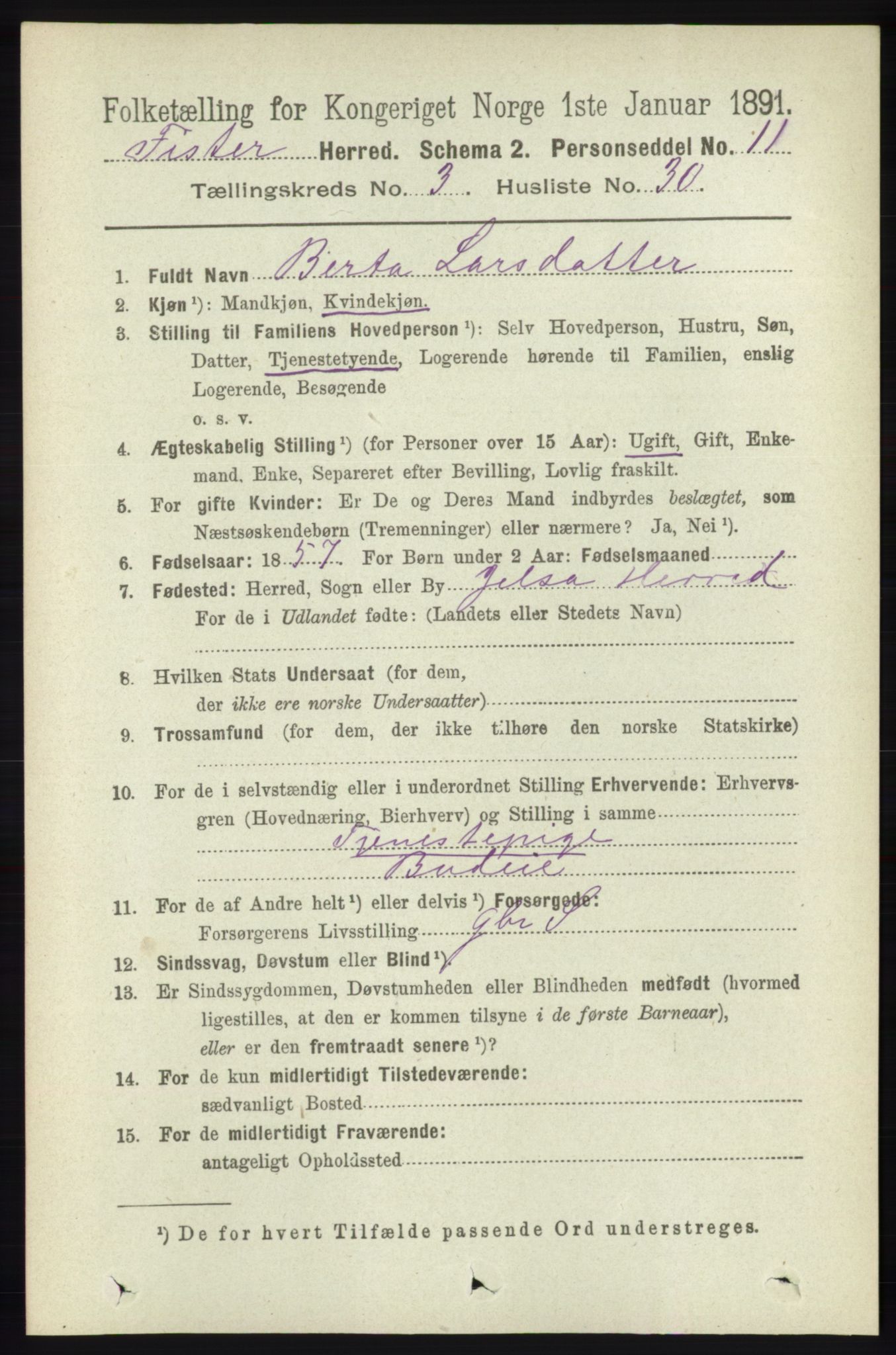 RA, 1891 census for 1132 Fister, 1891, p. 696