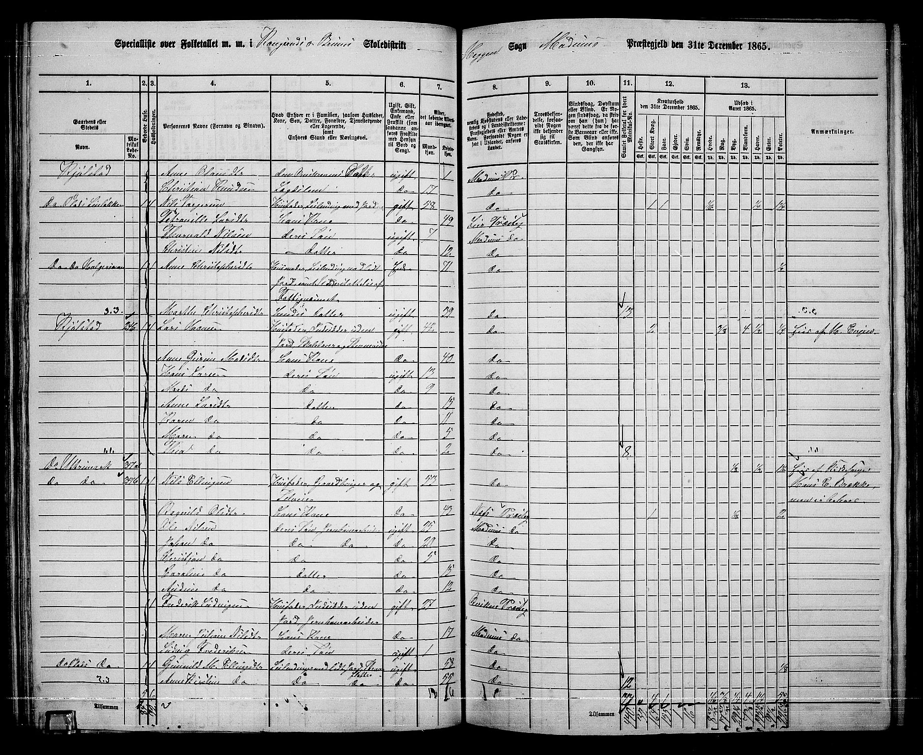 RA, 1865 census for Modum, 1865, p. 149