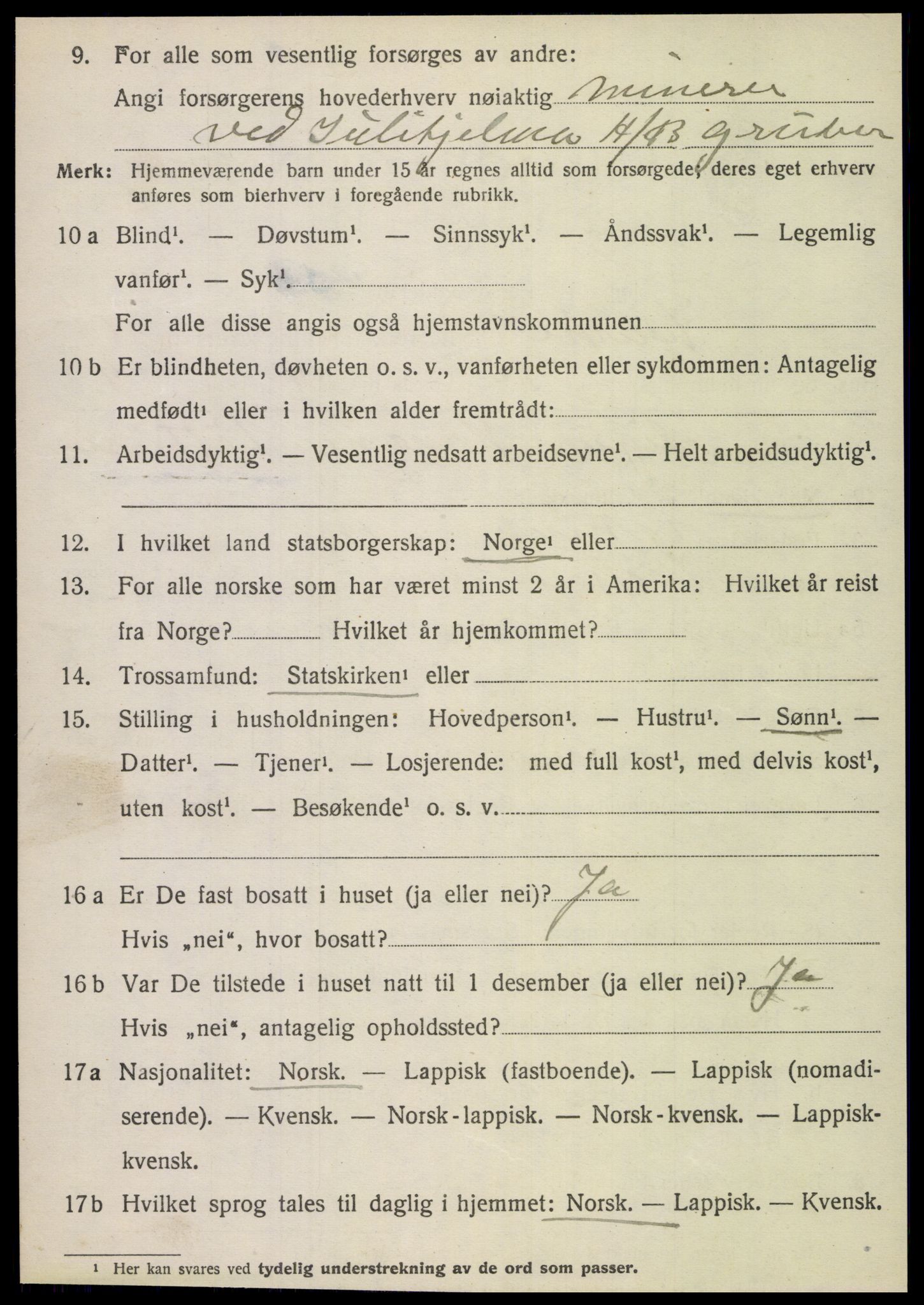 SAT, 1920 census for Fauske, 1920, p. 9629