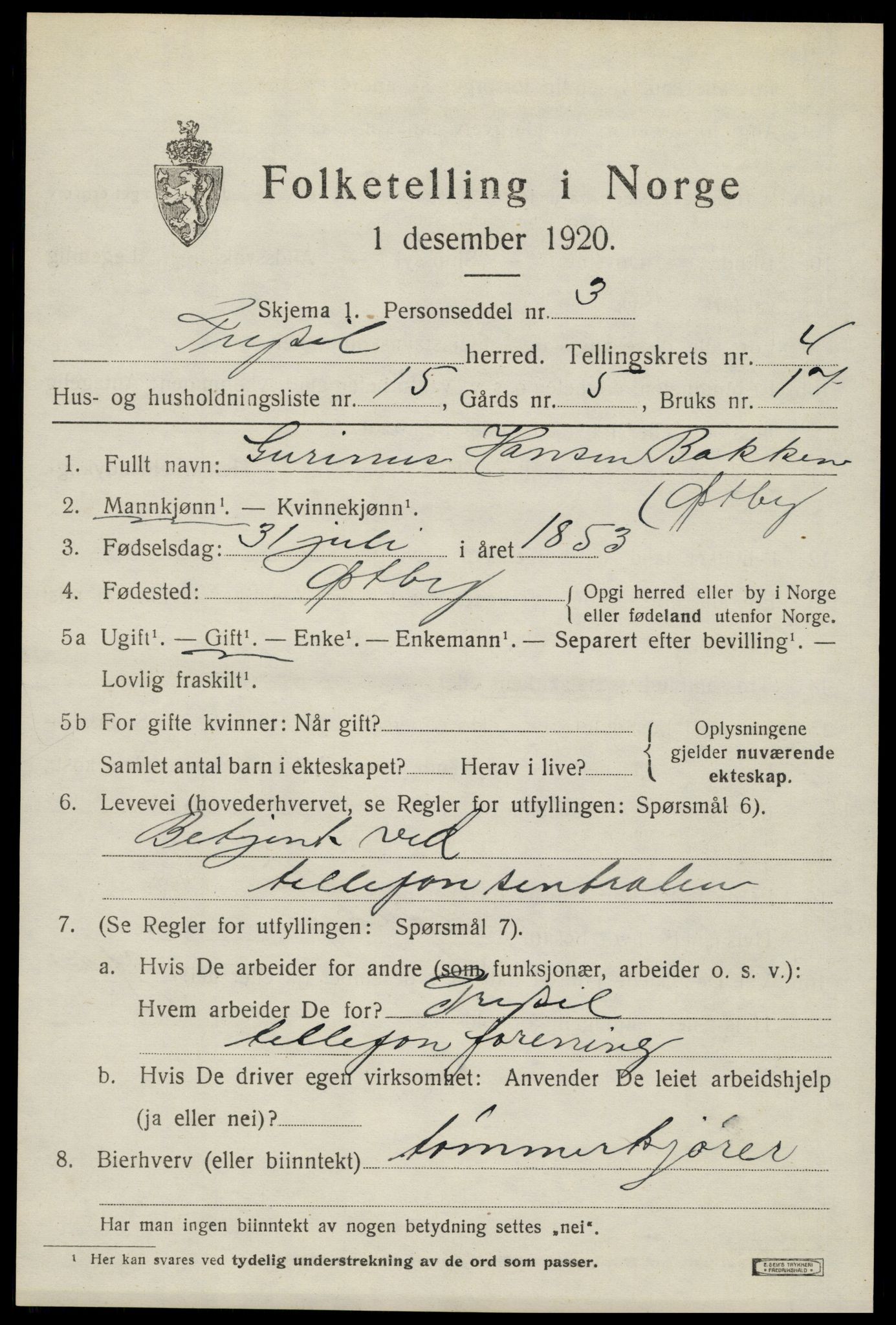 SAH, 1920 census for Trysil, 1920, p. 4287