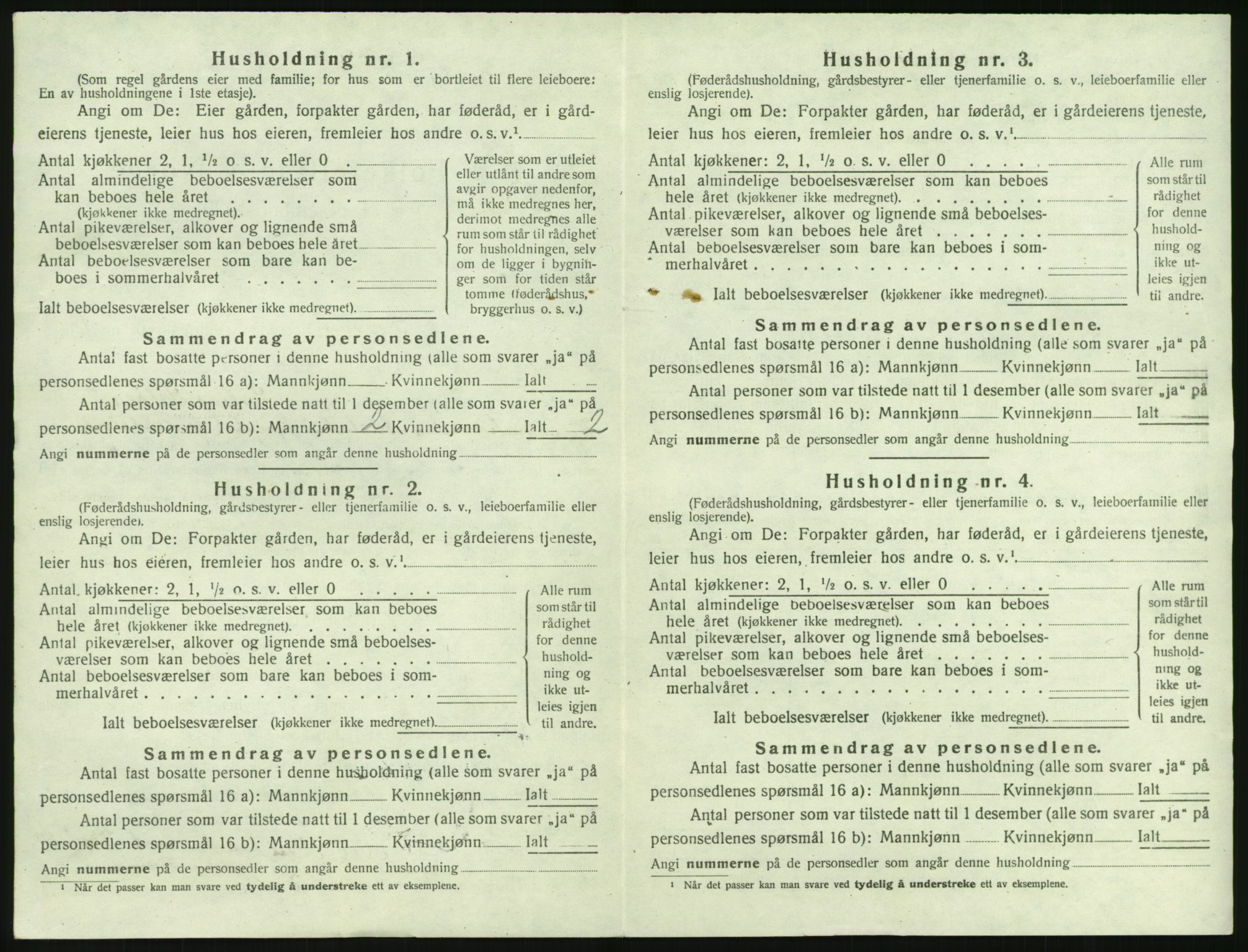 SAKO, 1920 census for Skåtøy, 1920, p. 1717