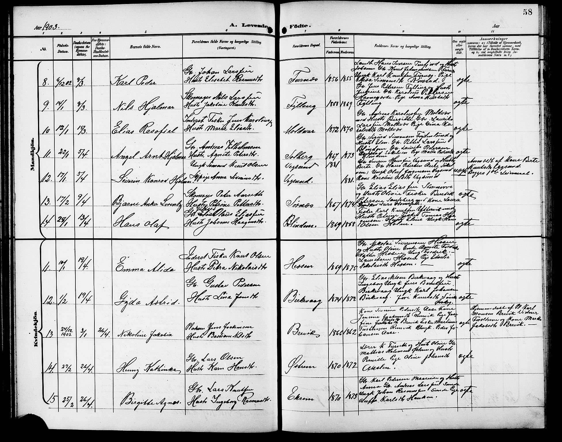 Ministerialprotokoller, klokkerbøker og fødselsregistre - Møre og Romsdal, AV/SAT-A-1454/528/L0432: Parish register (copy) no. 528C13, 1898-1918, p. 58