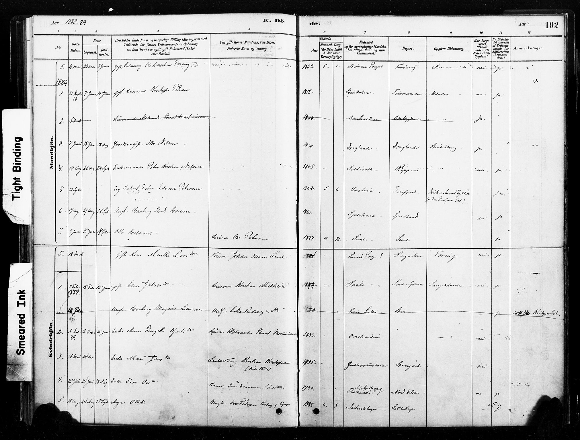 Ministerialprotokoller, klokkerbøker og fødselsregistre - Nord-Trøndelag, SAT/A-1458/789/L0705: Parish register (official) no. 789A01, 1878-1910, p. 192