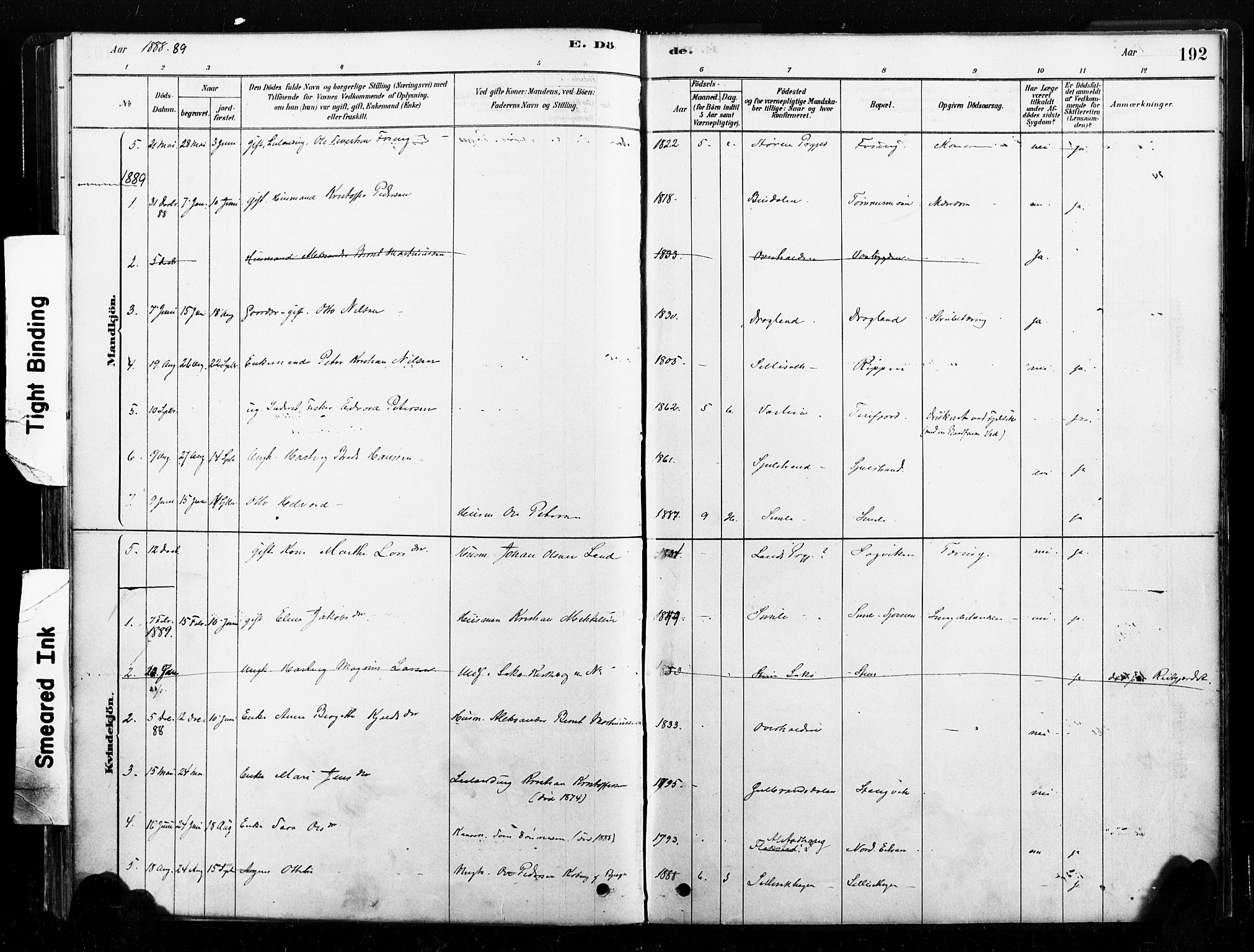 Ministerialprotokoller, klokkerbøker og fødselsregistre - Nord-Trøndelag, AV/SAT-A-1458/789/L0705: Parish register (official) no. 789A01, 1878-1910, p. 192