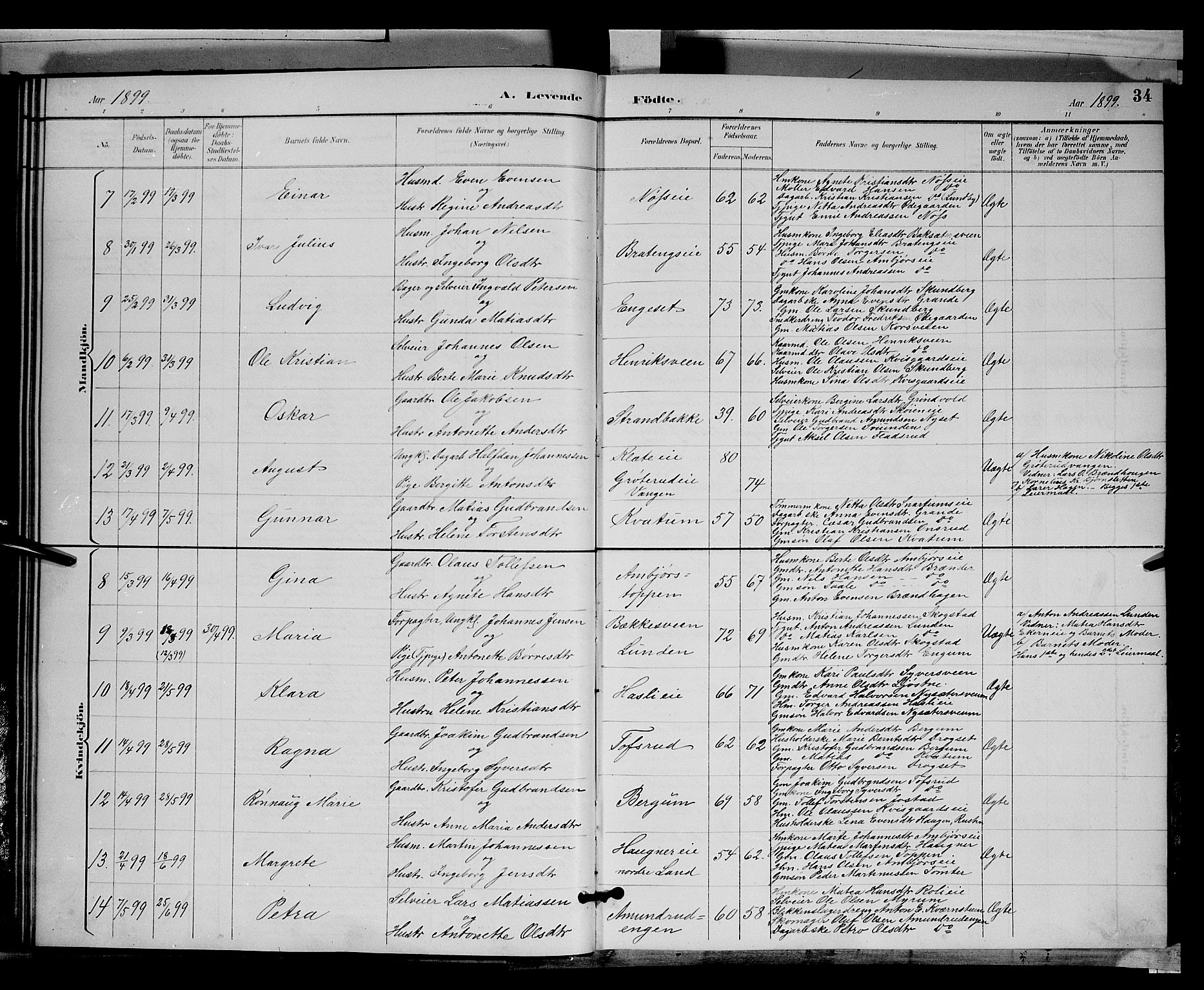 Biri prestekontor, SAH/PREST-096/H/Ha/Hab/L0003: Parish register (copy) no. 3, 1892-1905, p. 34