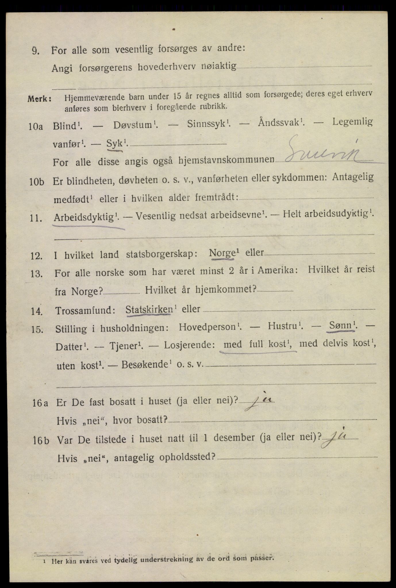 SAKO, 1920 census for Svelvik, 1920, p. 3118