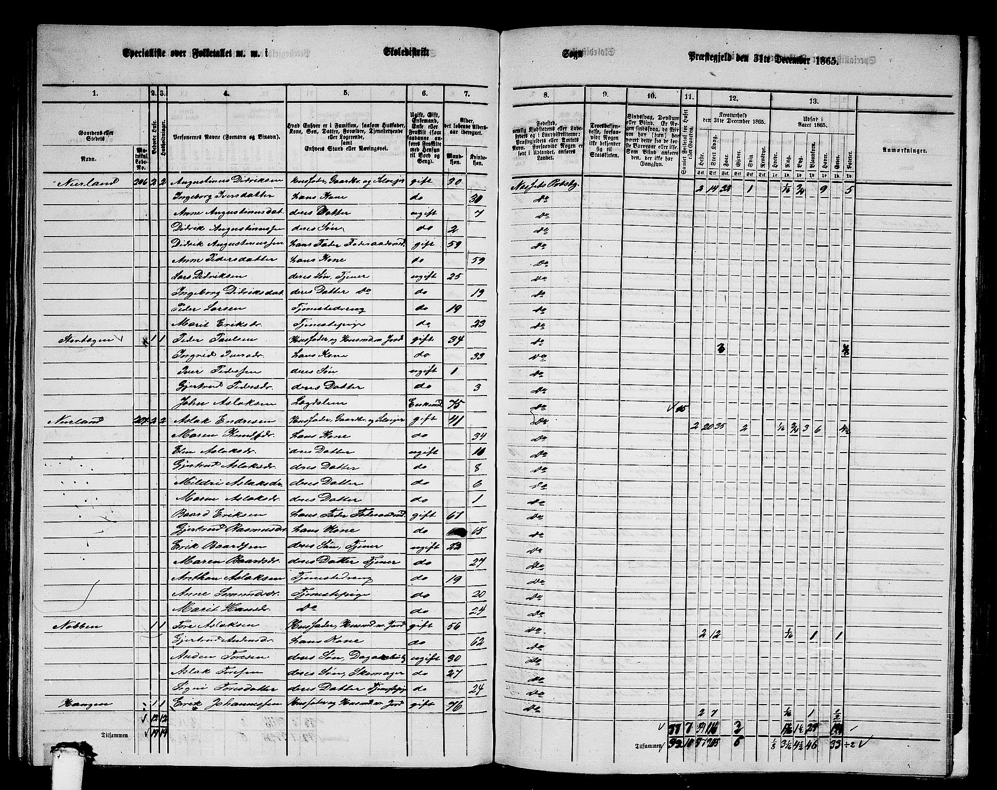 RA, 1865 census for Nesset, 1865, p. 137