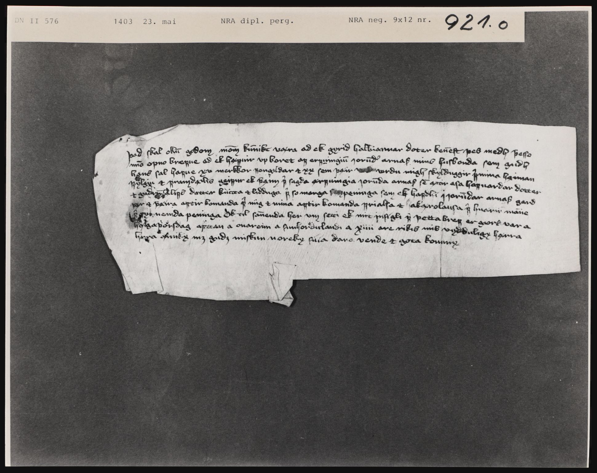 Riksarkivets diplomsamling, AV/RA-EA-5965/F01, 1337-1571, p. 2503